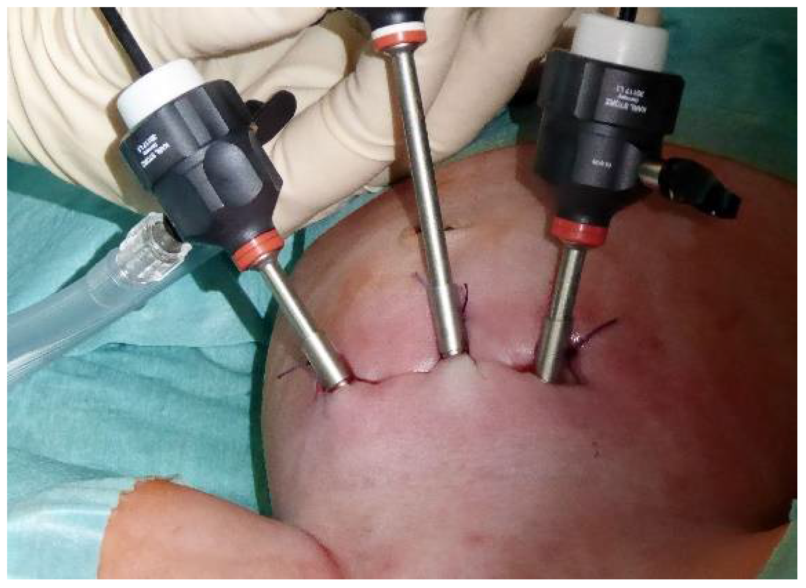 Children 09 00298 g002 550