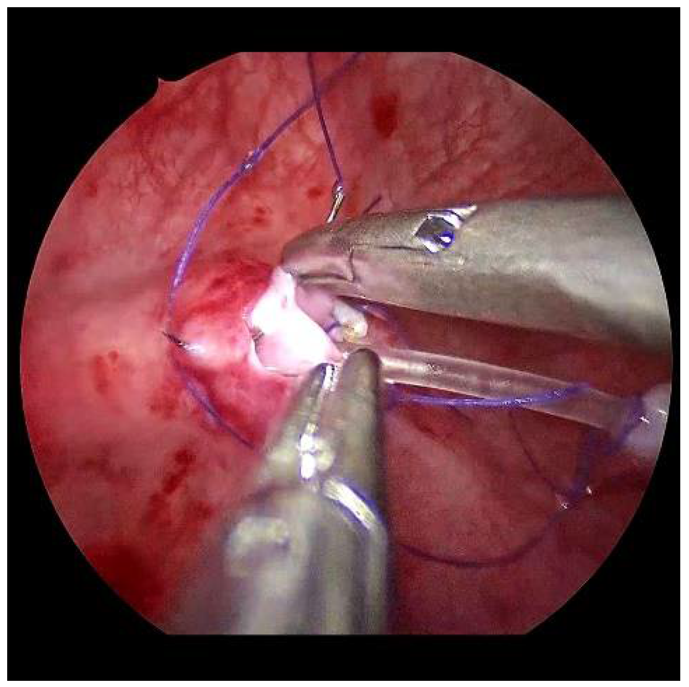 Children 09 00298 g007 550