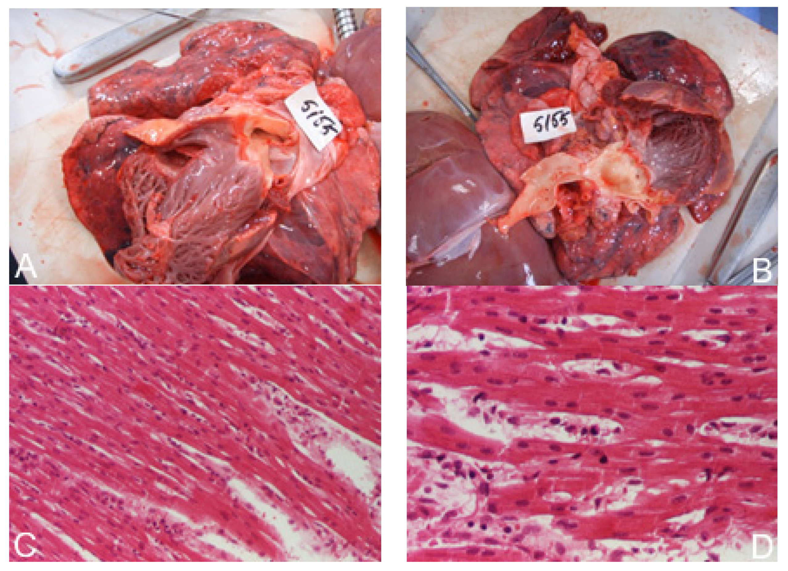 Children 09 00335 g004 Children 09 00335 g004