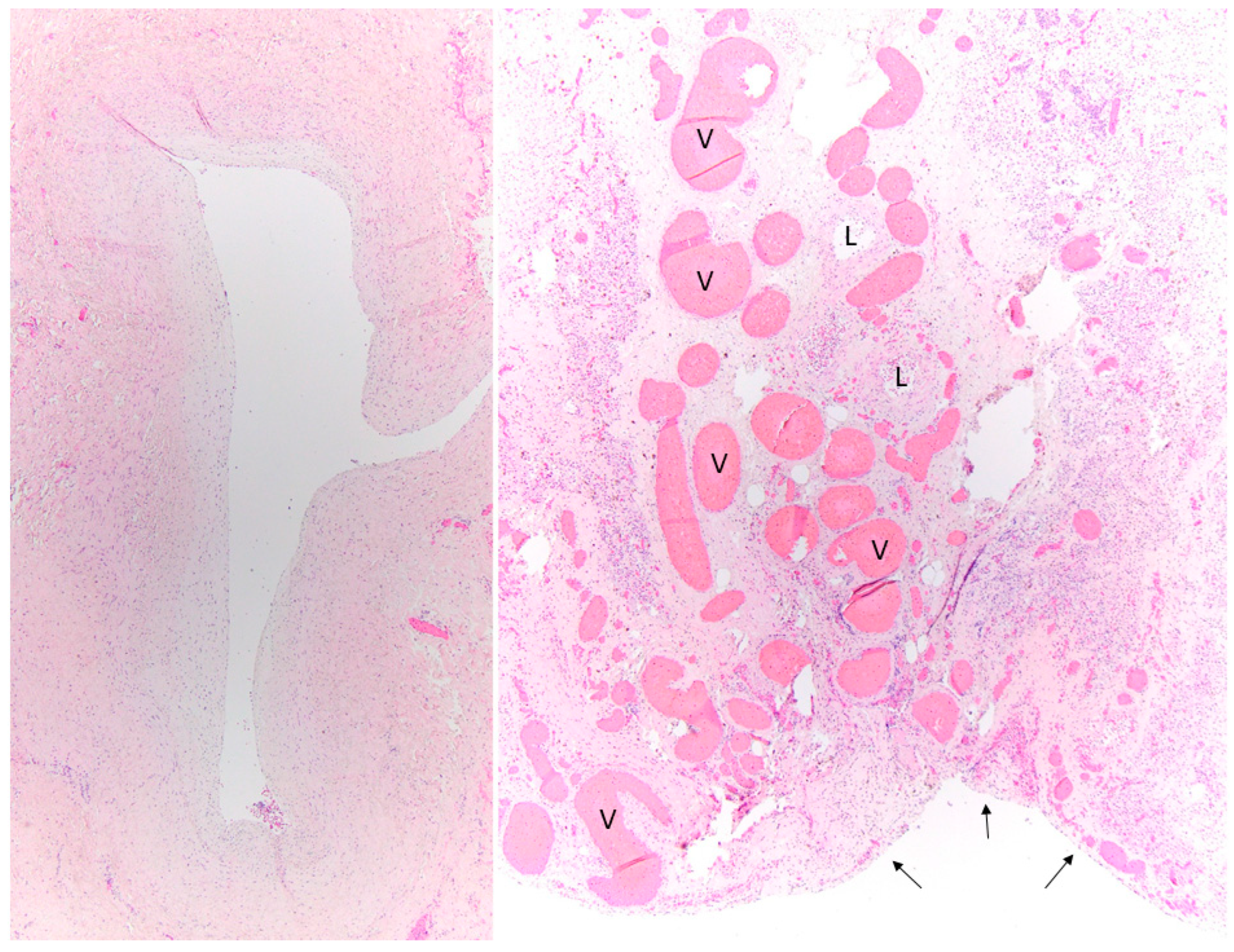 Children 09 00355 g002 550