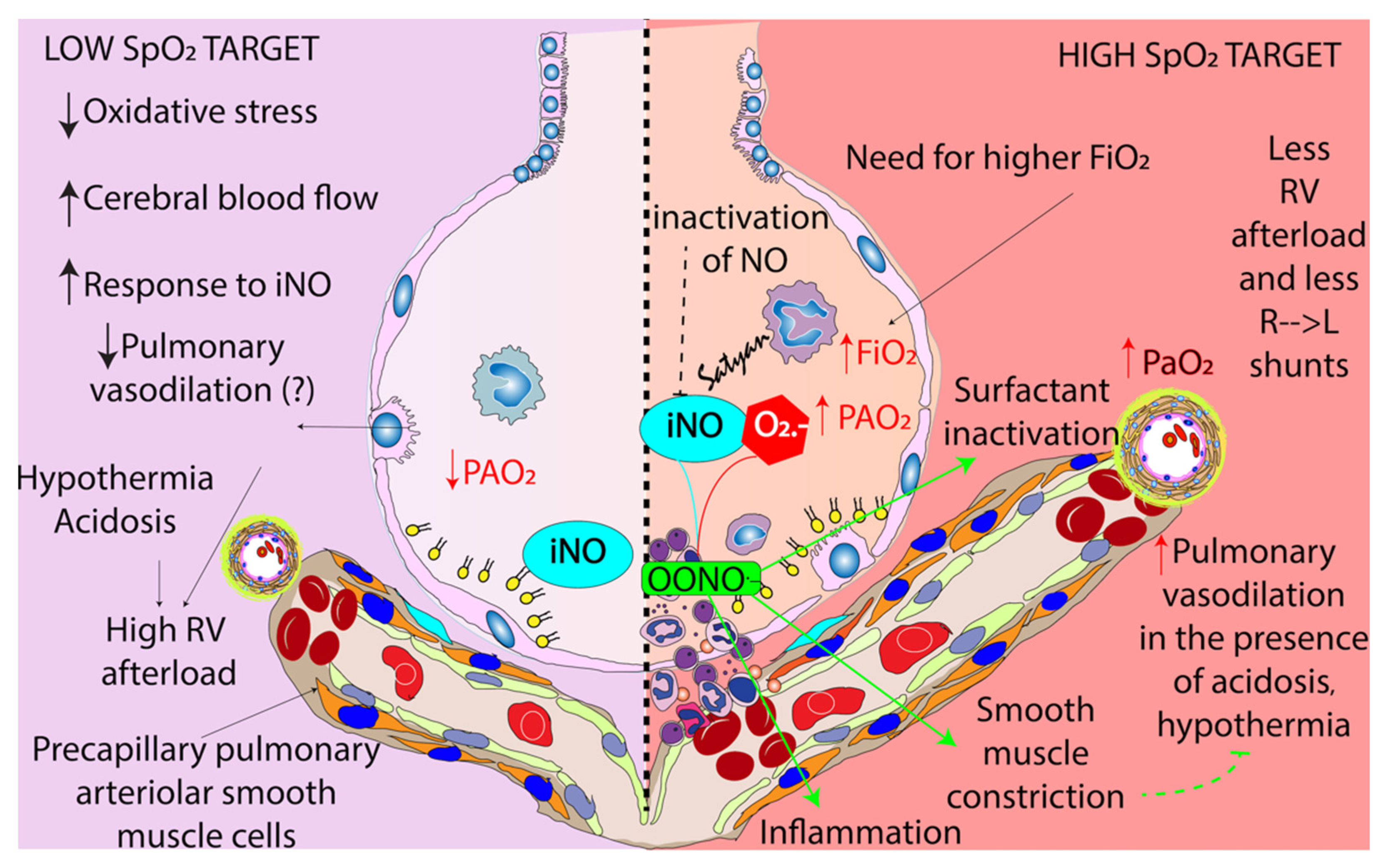 Children 09 00396 g004