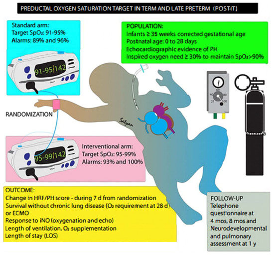 Children Free FullText Factors to Consider to Study Preductal