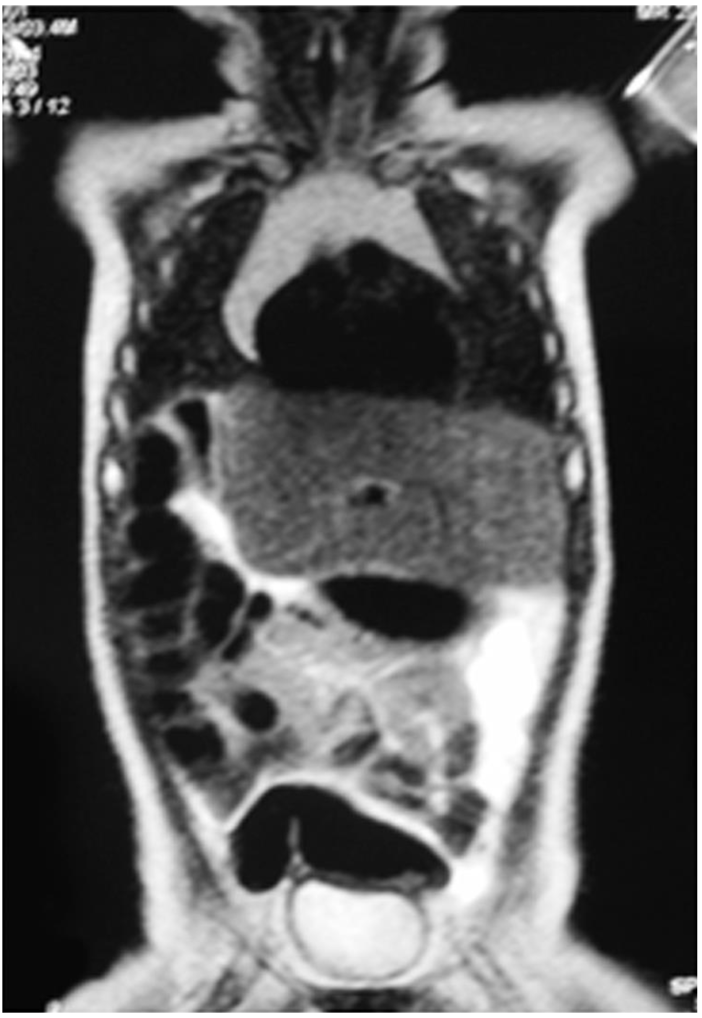 Children 09 00418 g002 550