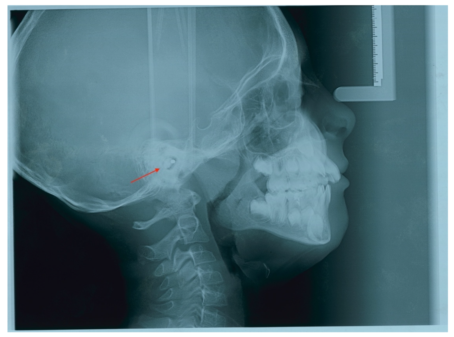 Children 09 00421 g001