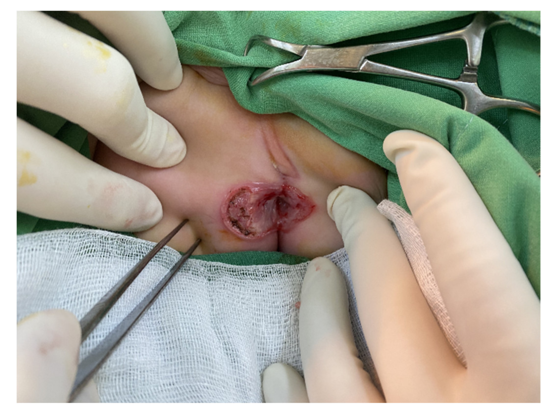 Children 09 00454 g002 550