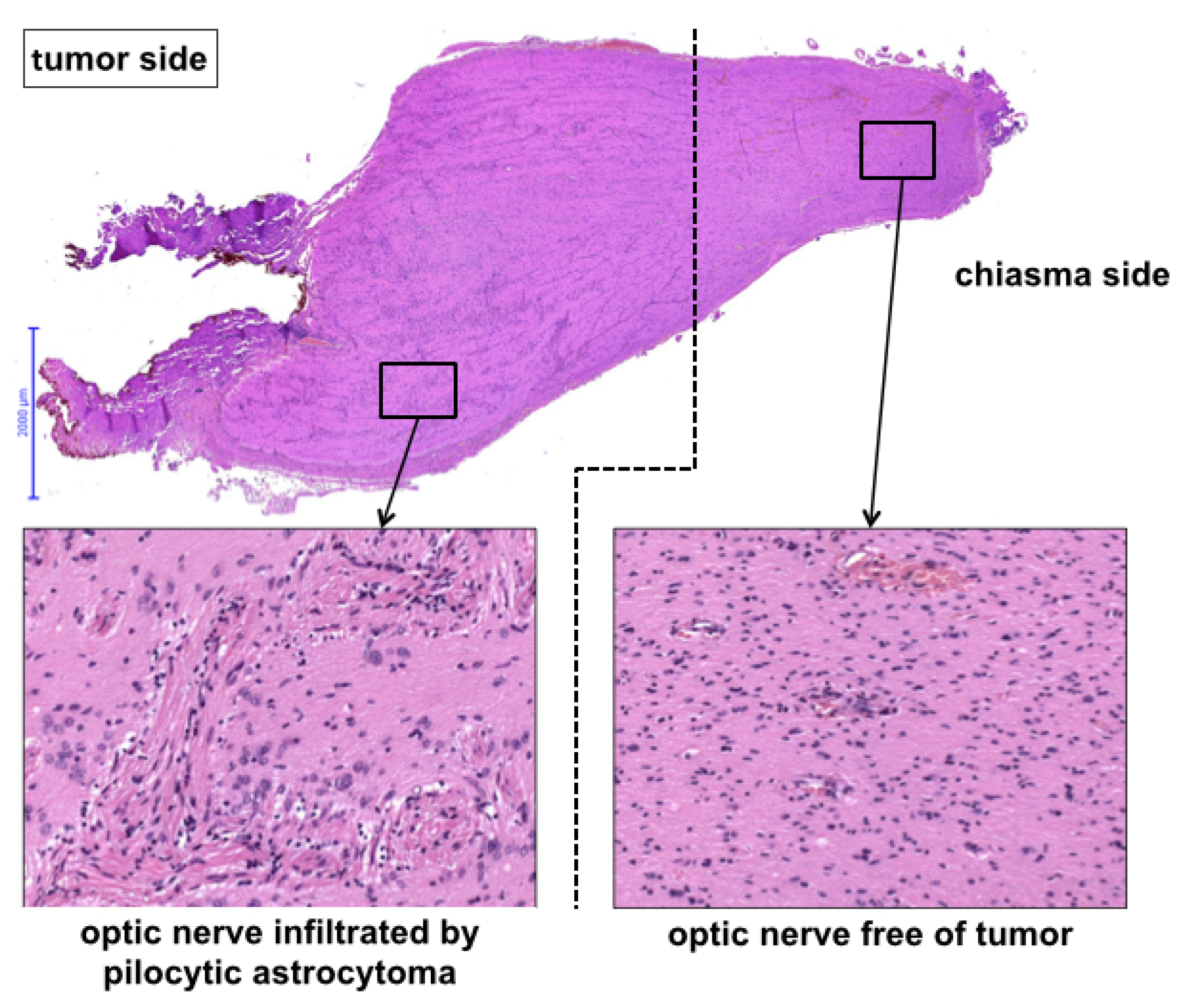 Children 09 00459 g003 550