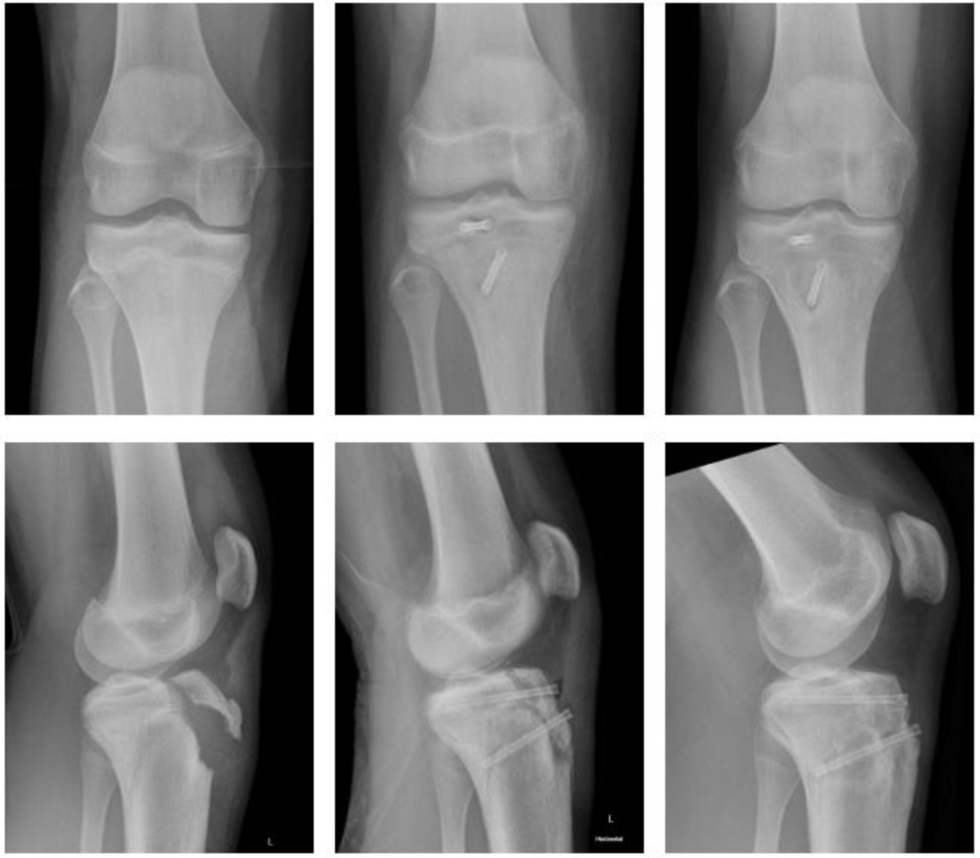 Children 09 00471 g001