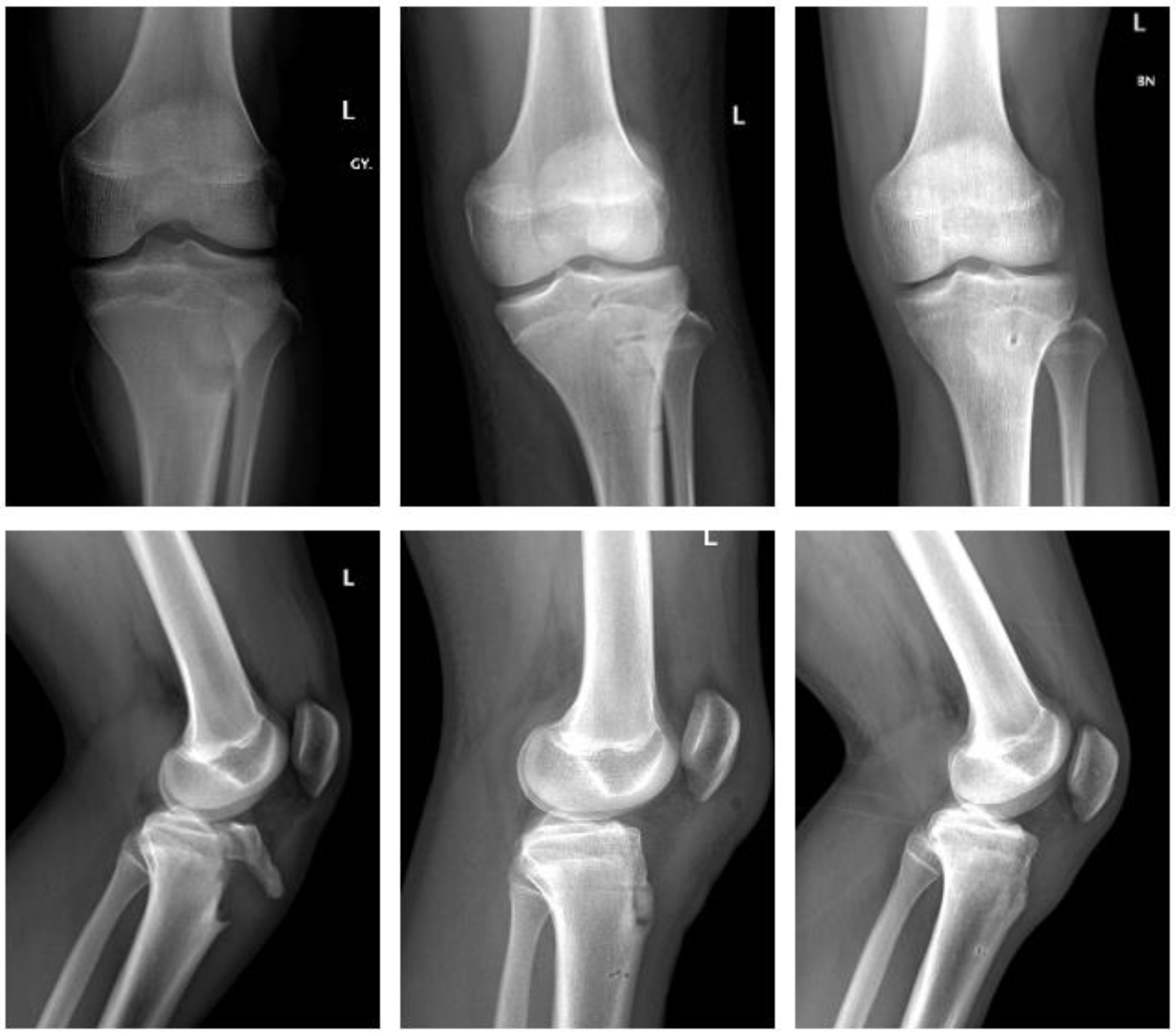 Children 09 00471 g002