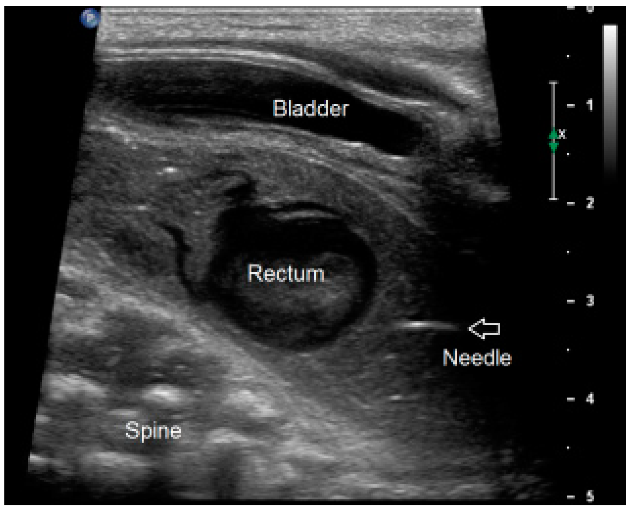 Children 09 00587 g002 550