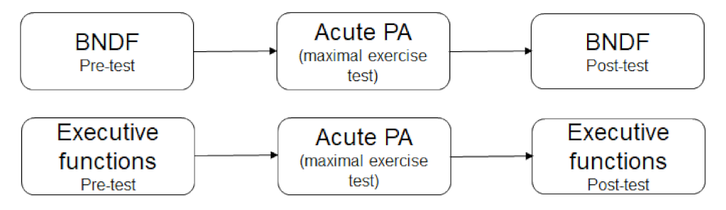 Children 09 00596 g002