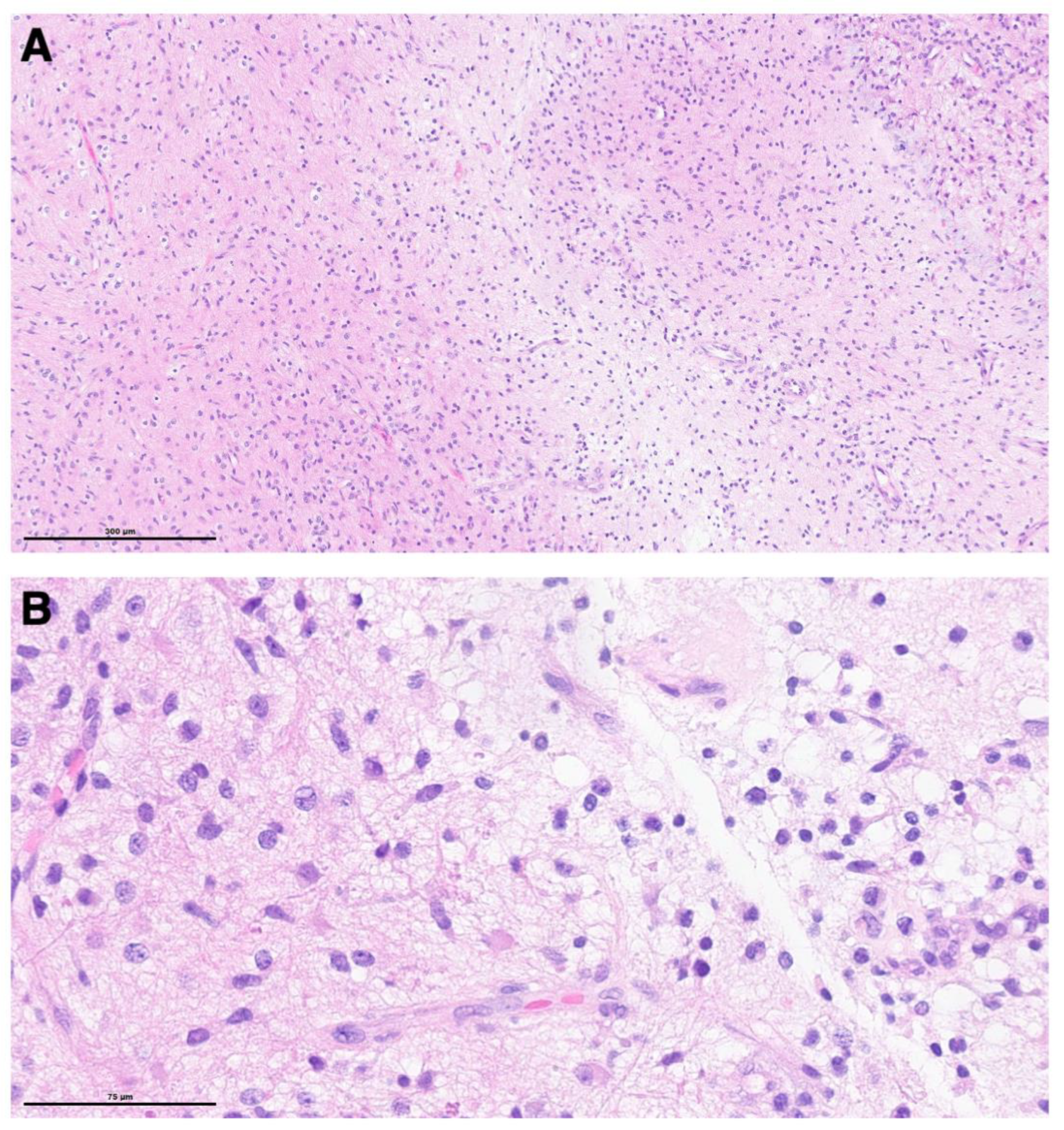 Children 09 00640 g006 550