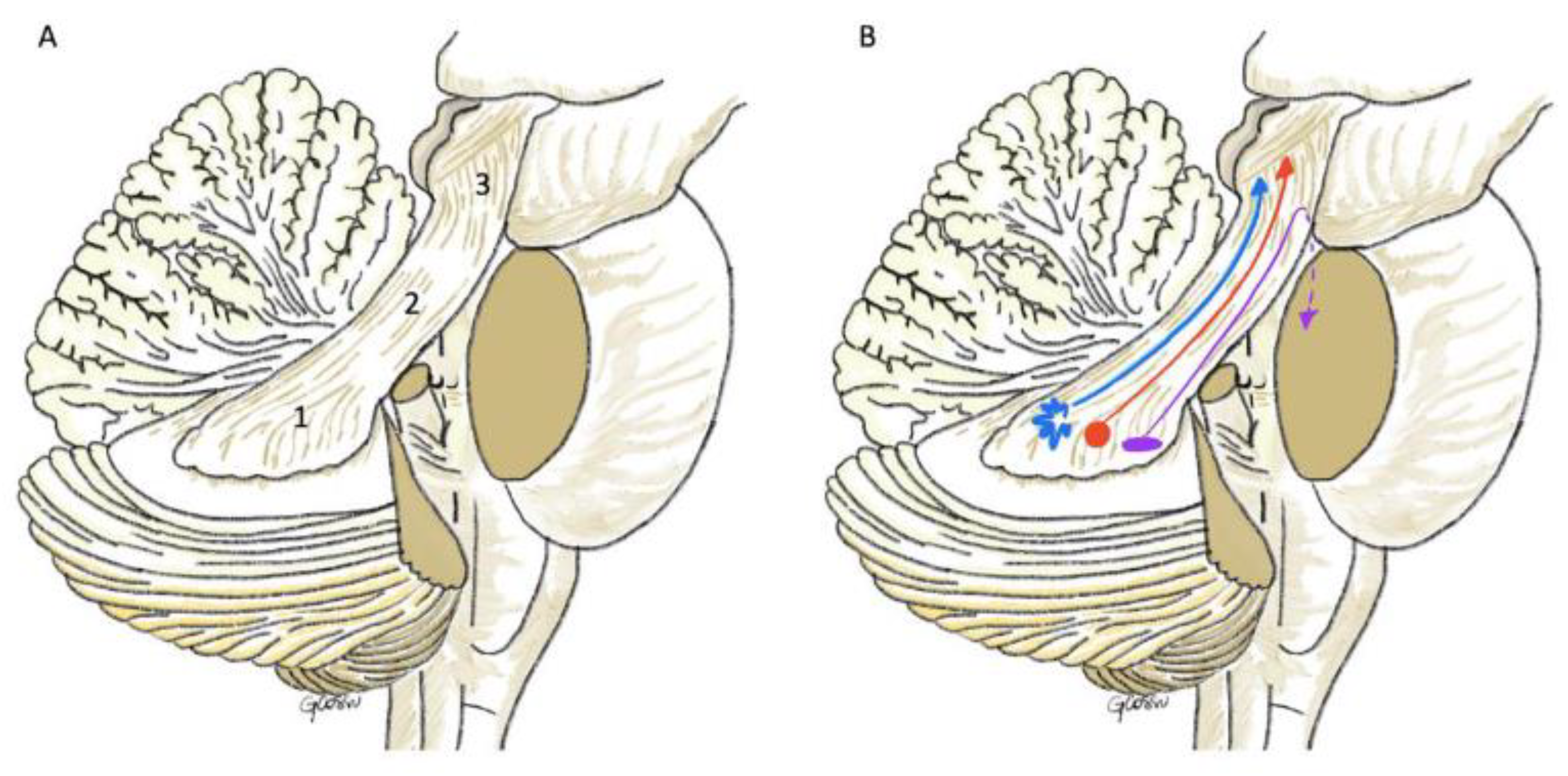 Children 09 00640 g007 550