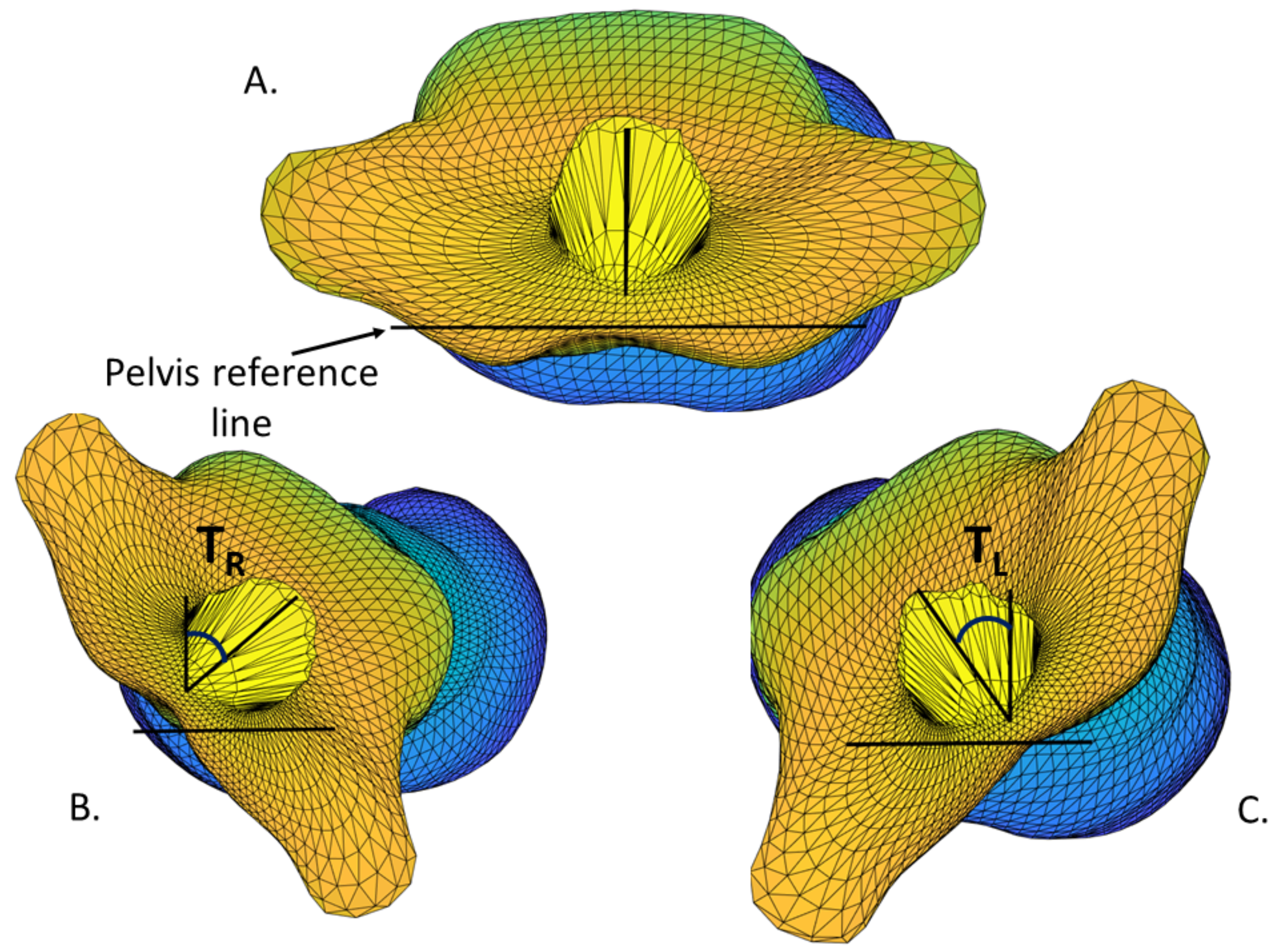 Children 09 00670 g002