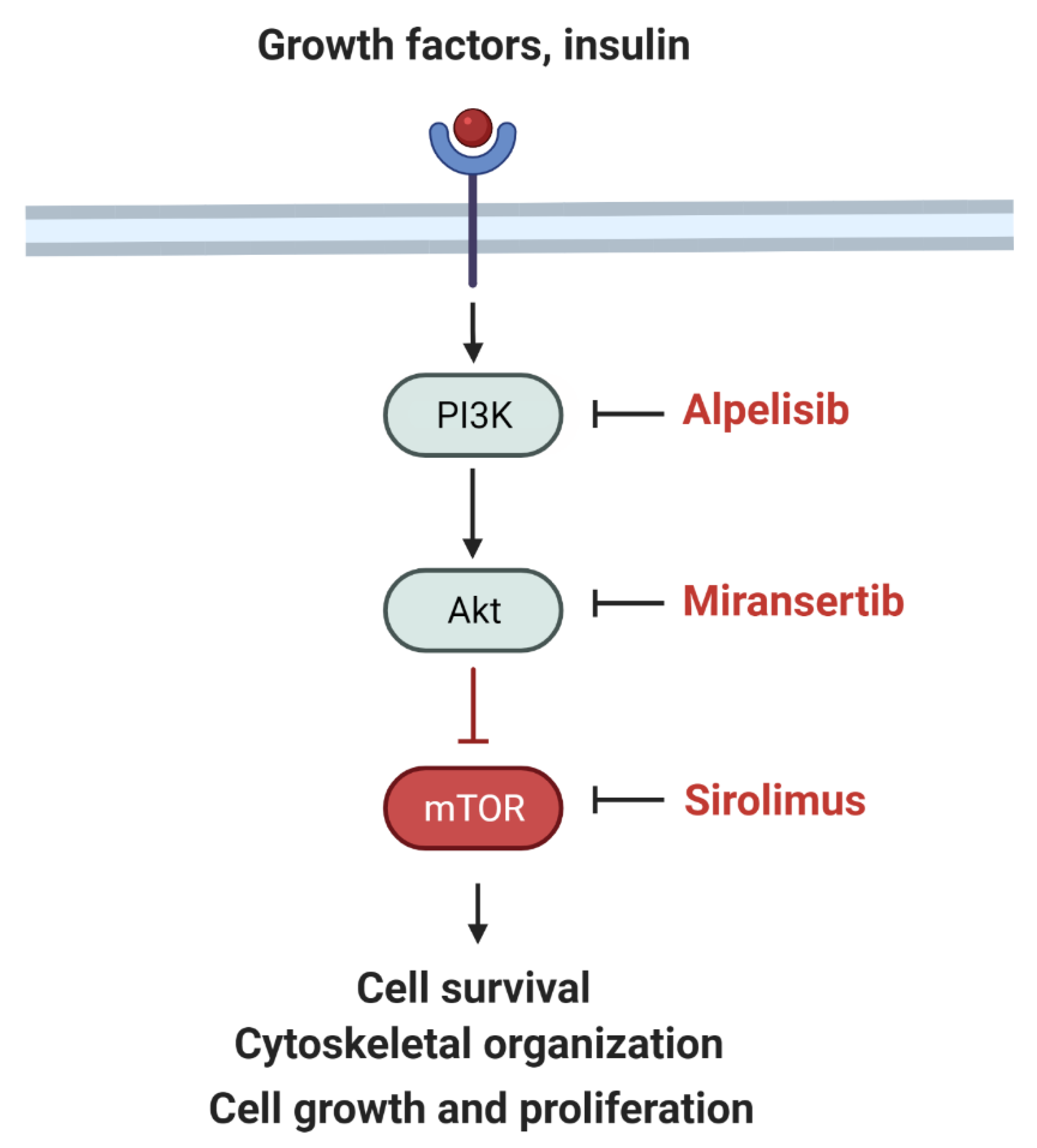 Children 09 00671 g002