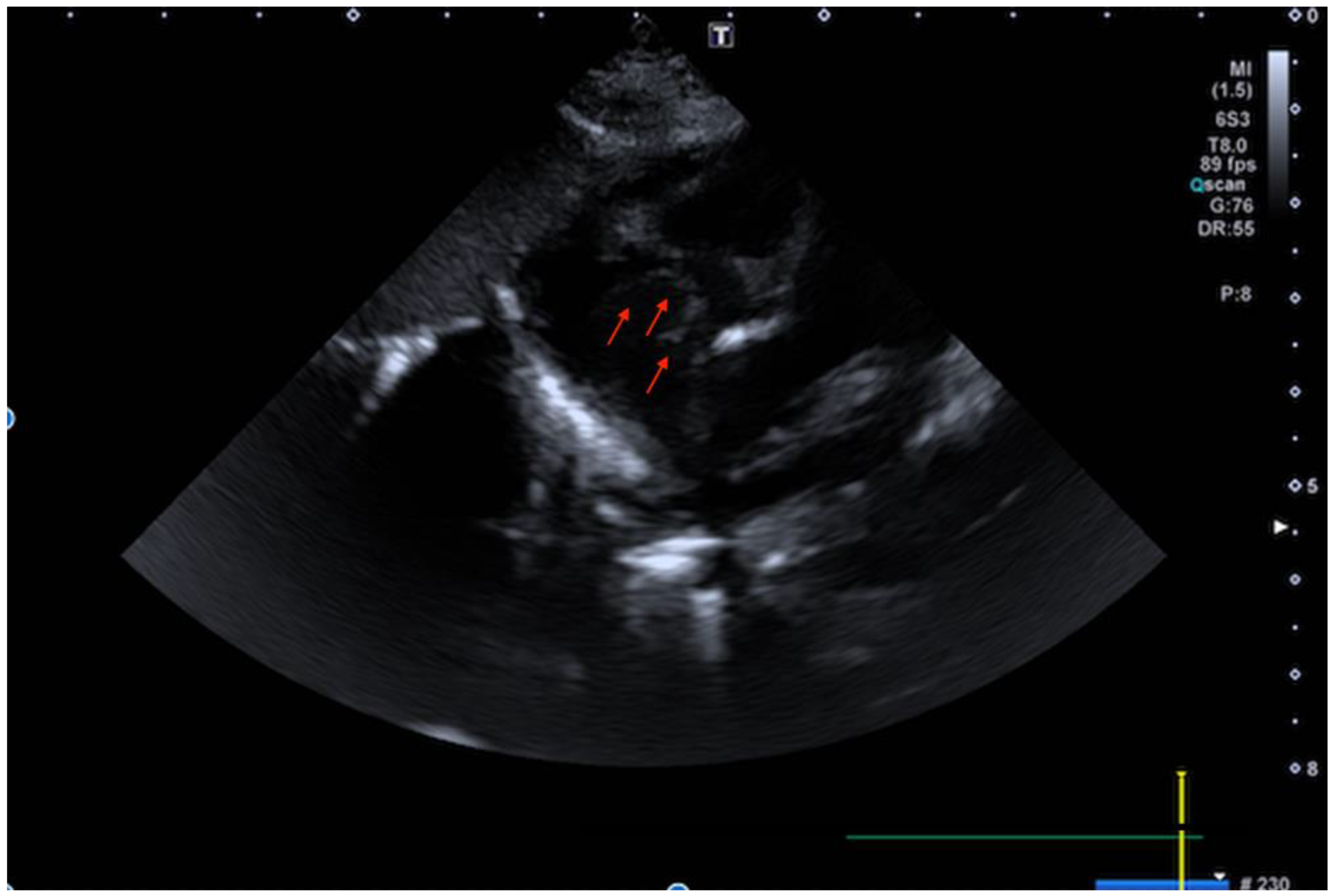 Children 09 00676 g001 550