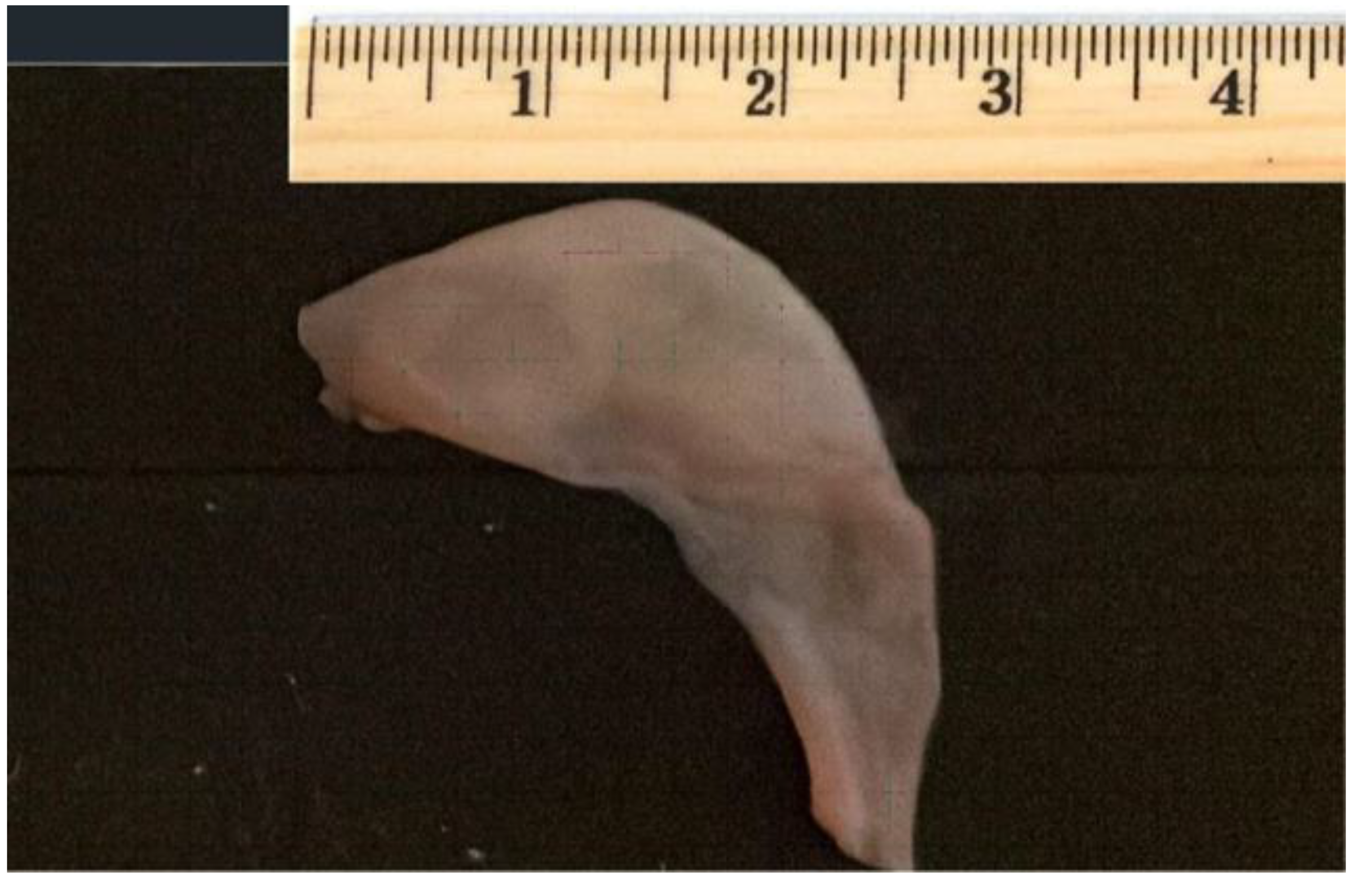 Children 09 00676 g002 550