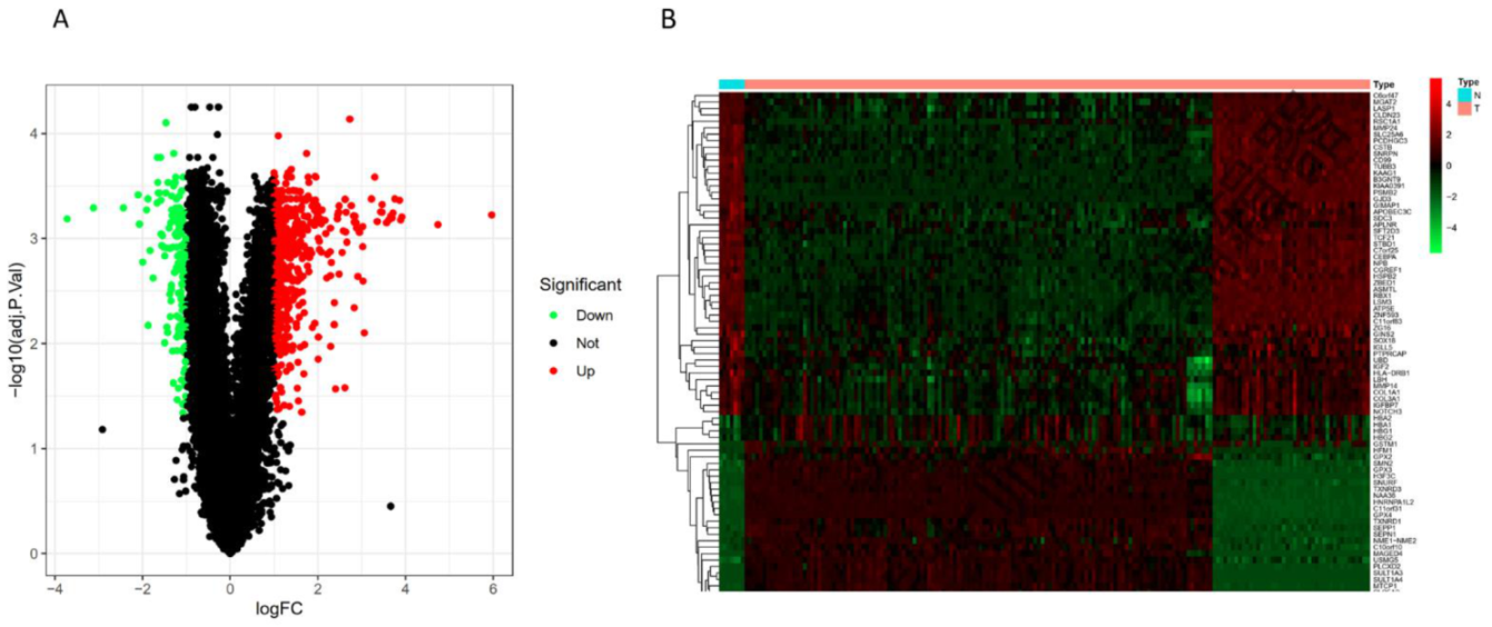 Children 09 00697 g001 550