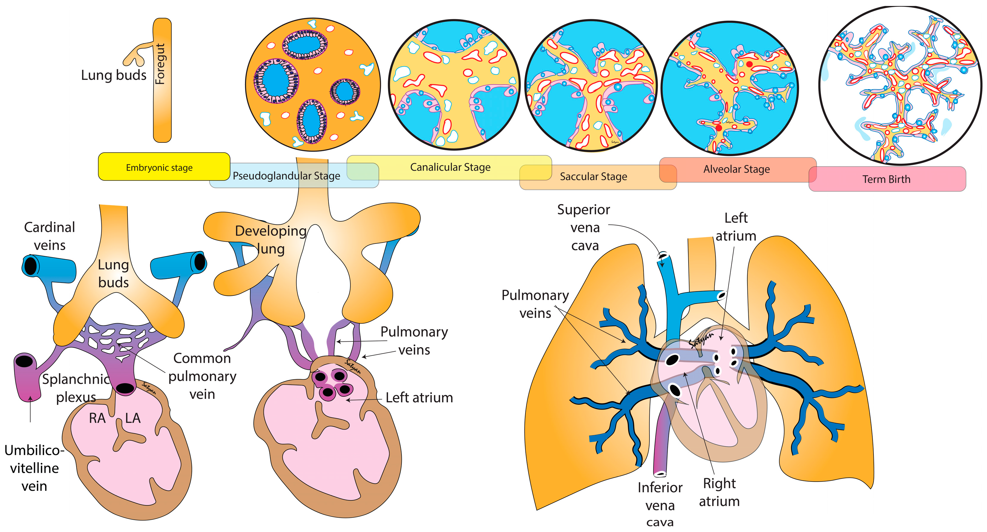 Children 09 00713 g001