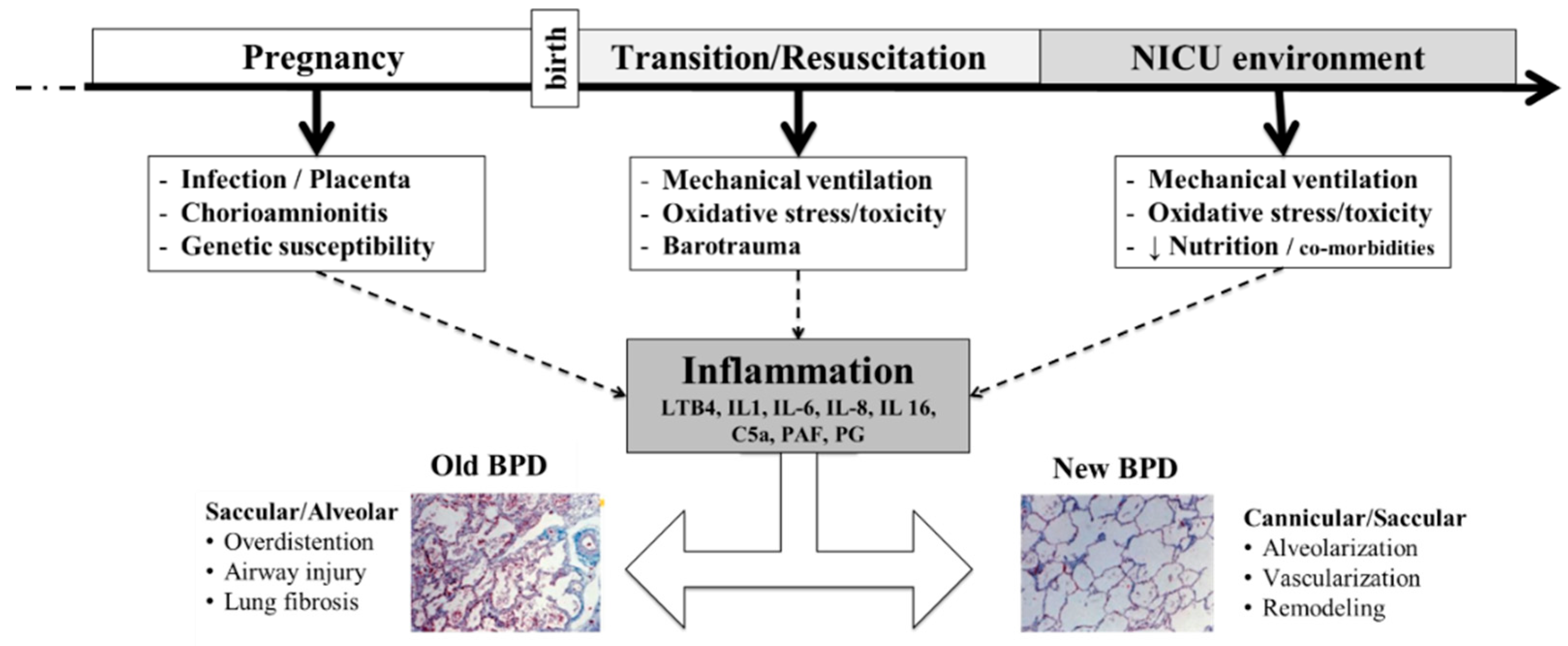 Children 09 00713 g003