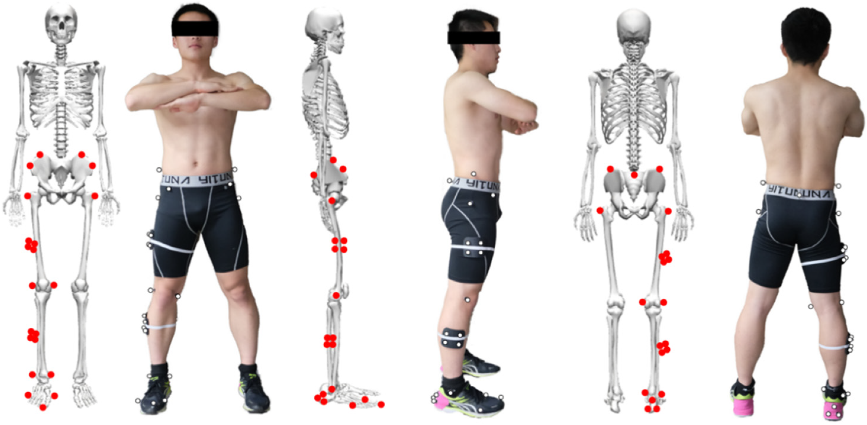 Benefits of jumping rope during injury rehabilitation – Human Kinetics