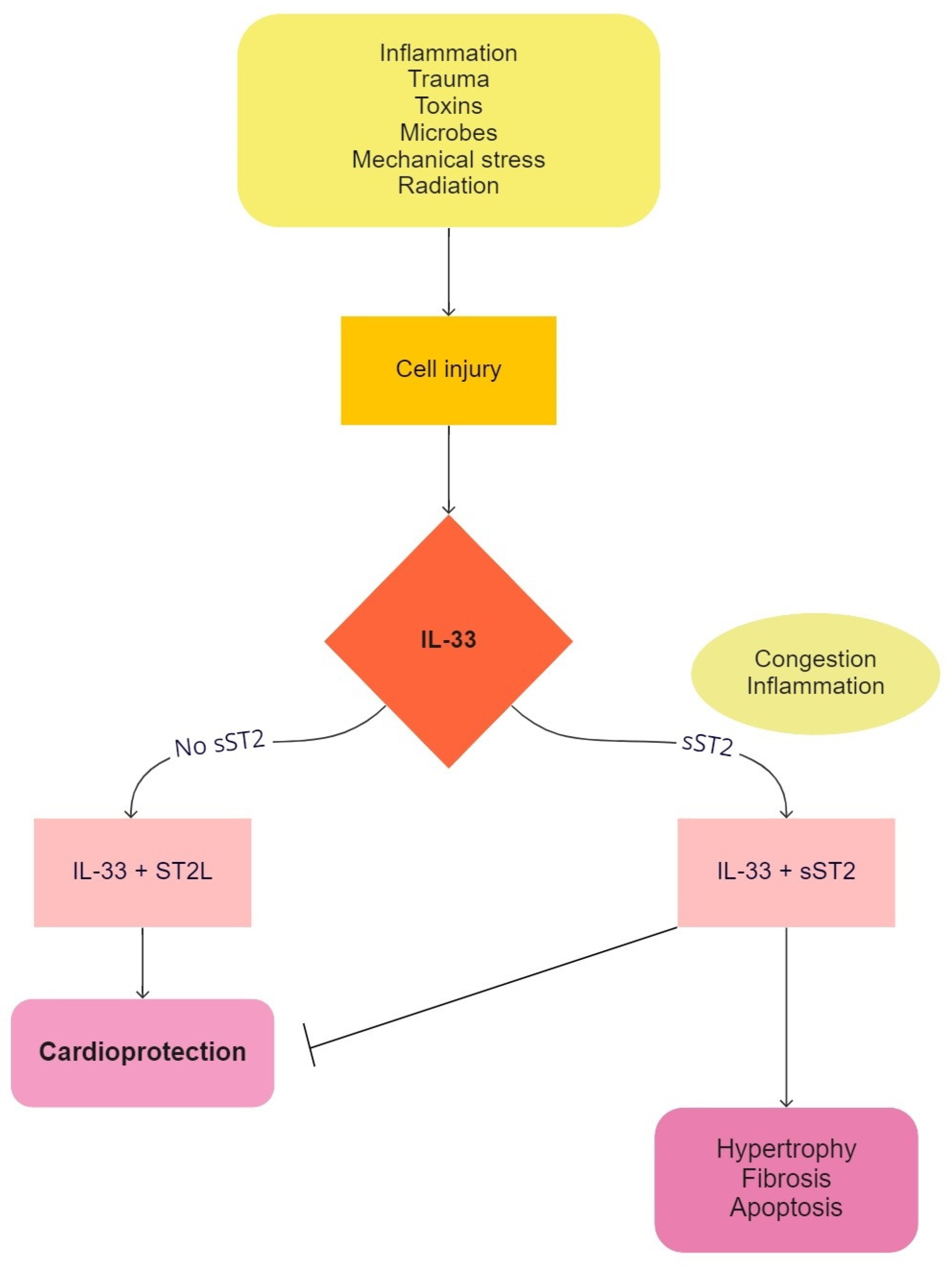 Children 09 00740 g002