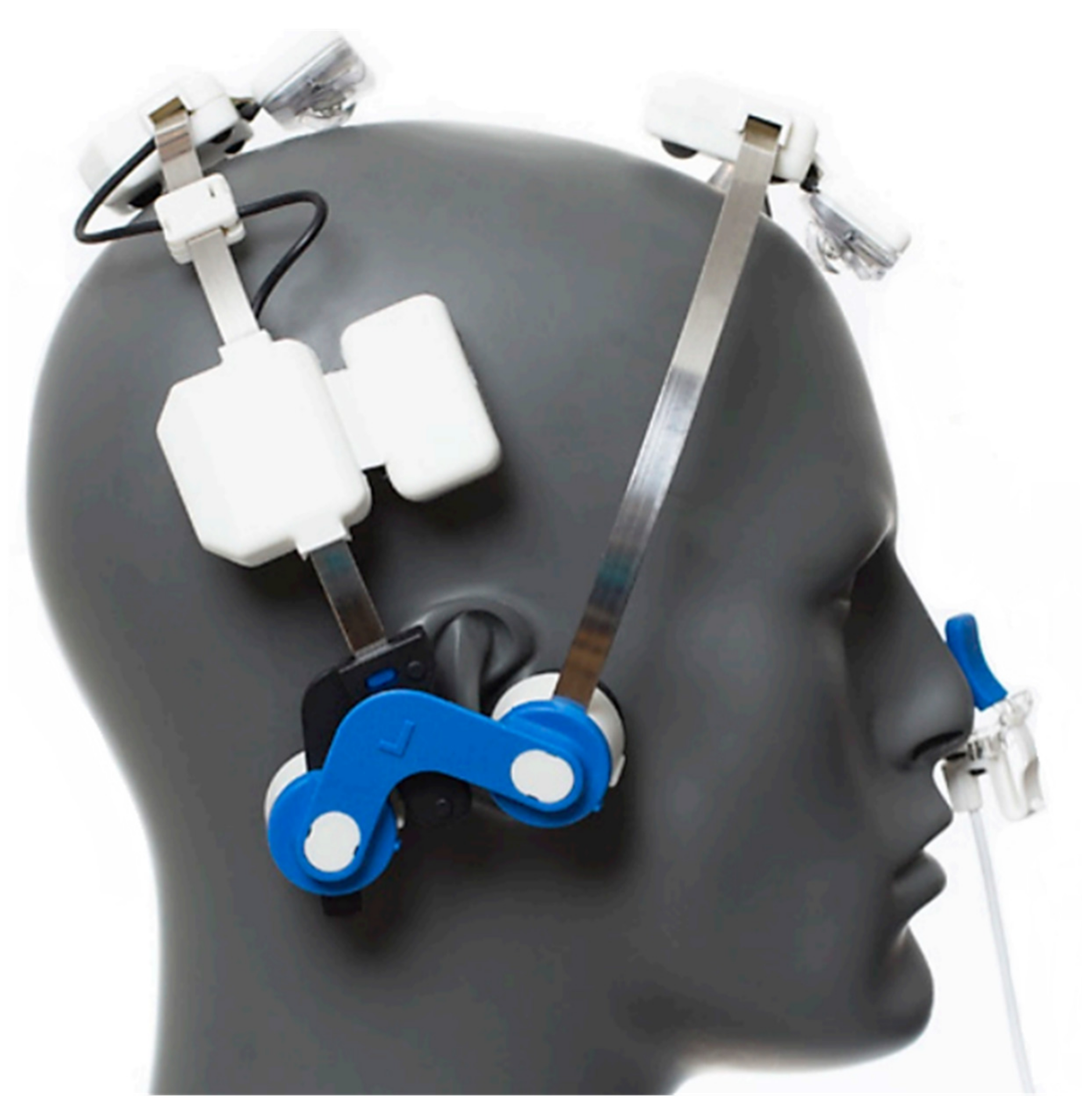 Children 09 00755 g001