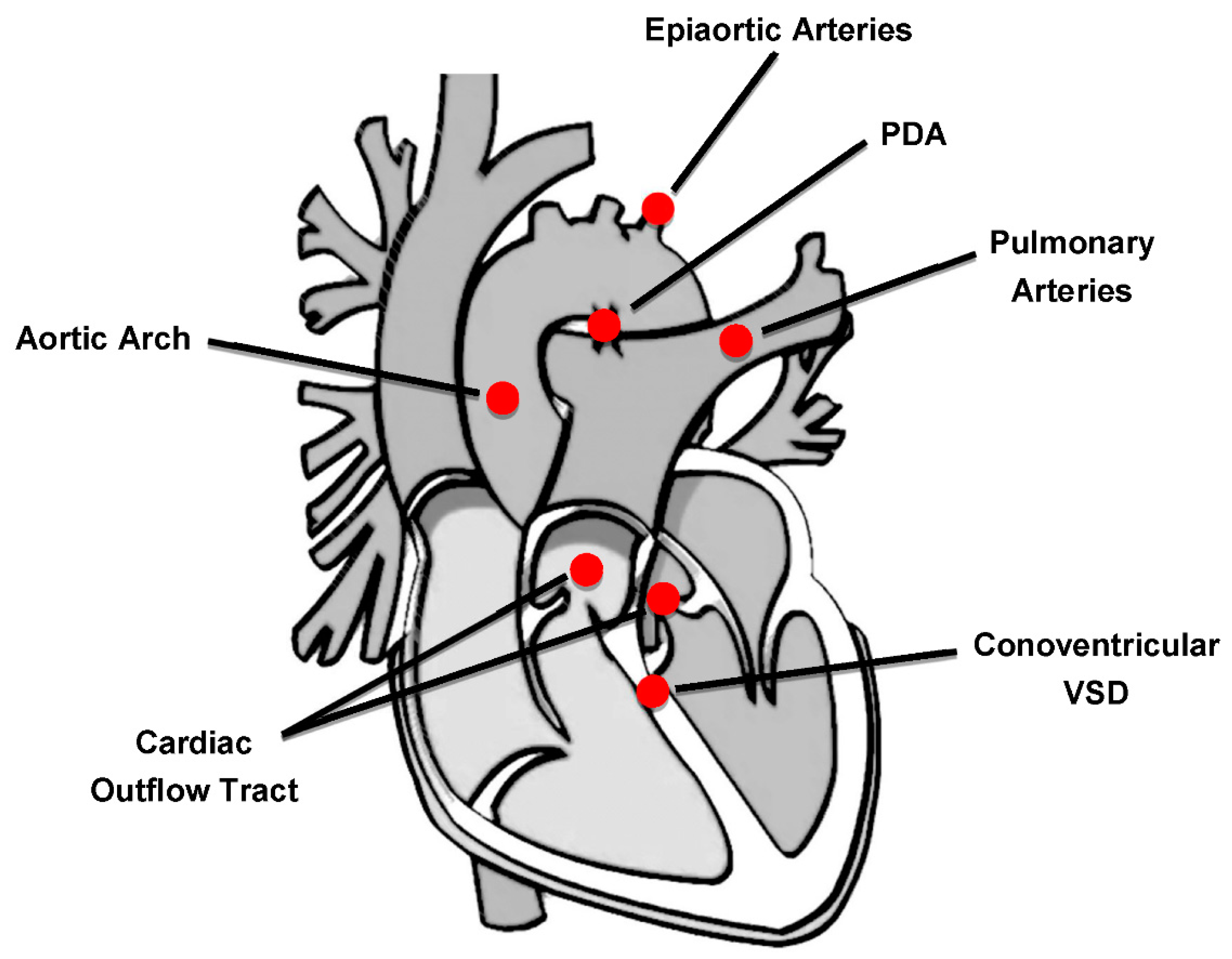 Children 09 00772 g001