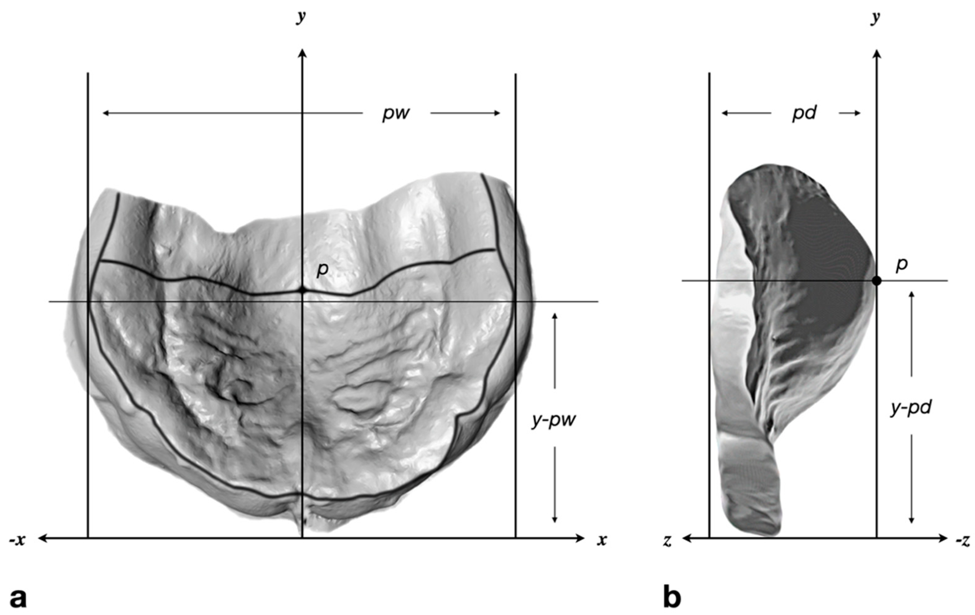 Children Free FullText Conformity between Pacifier Design and