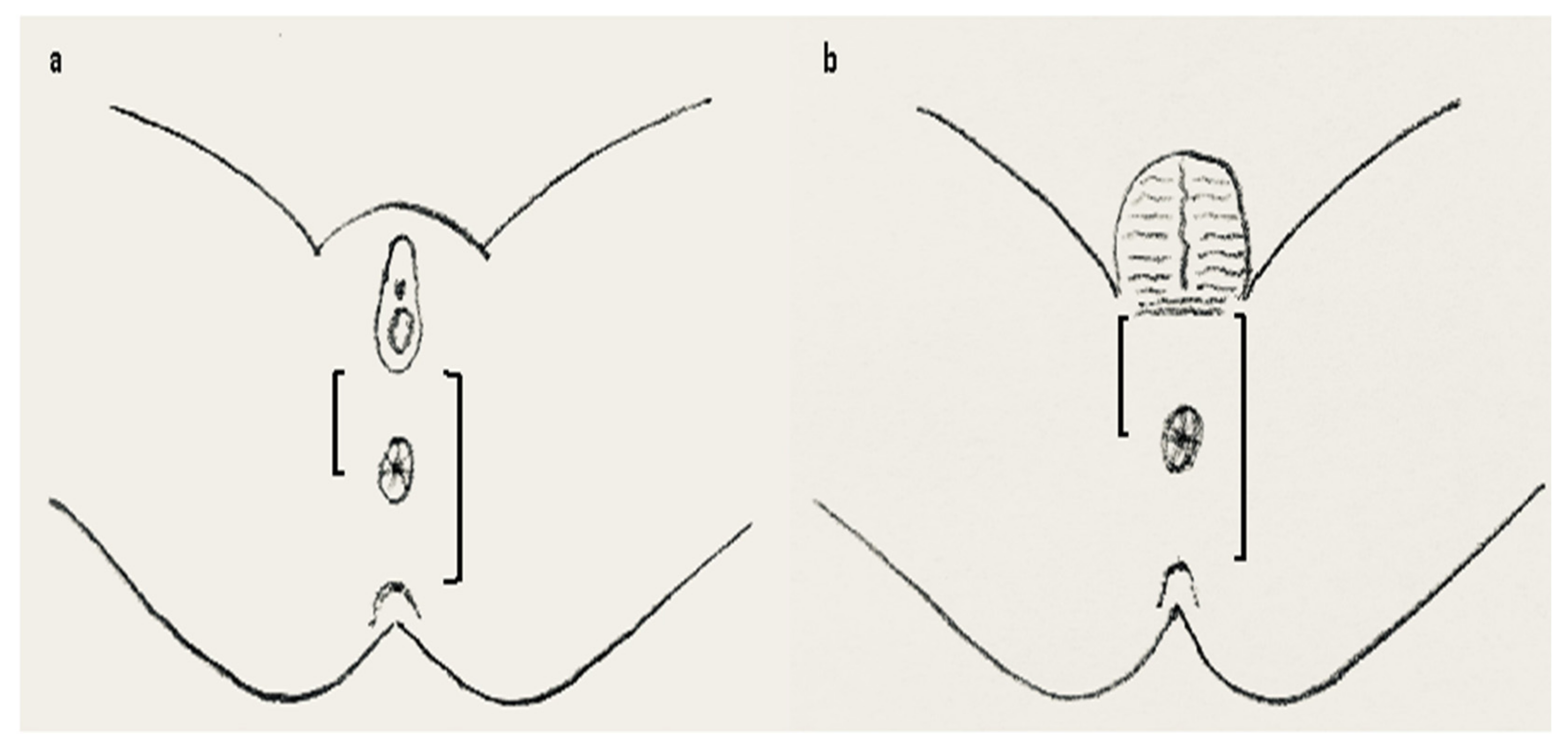 Children 09 00831 g003