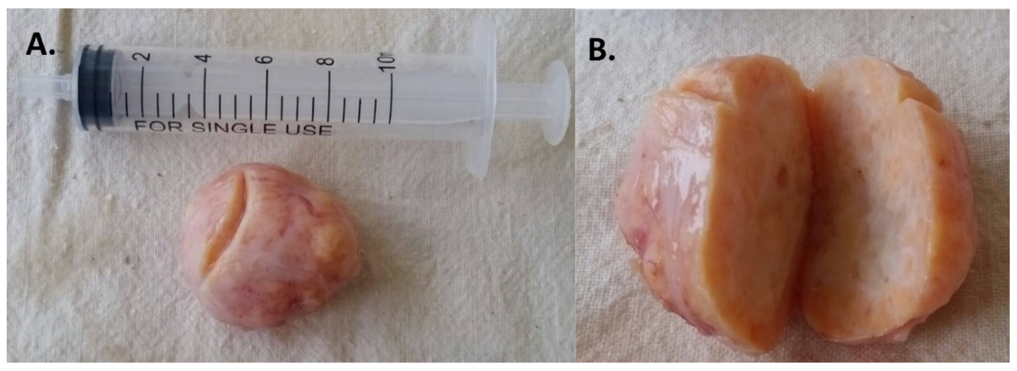 Children 09 00847 g002