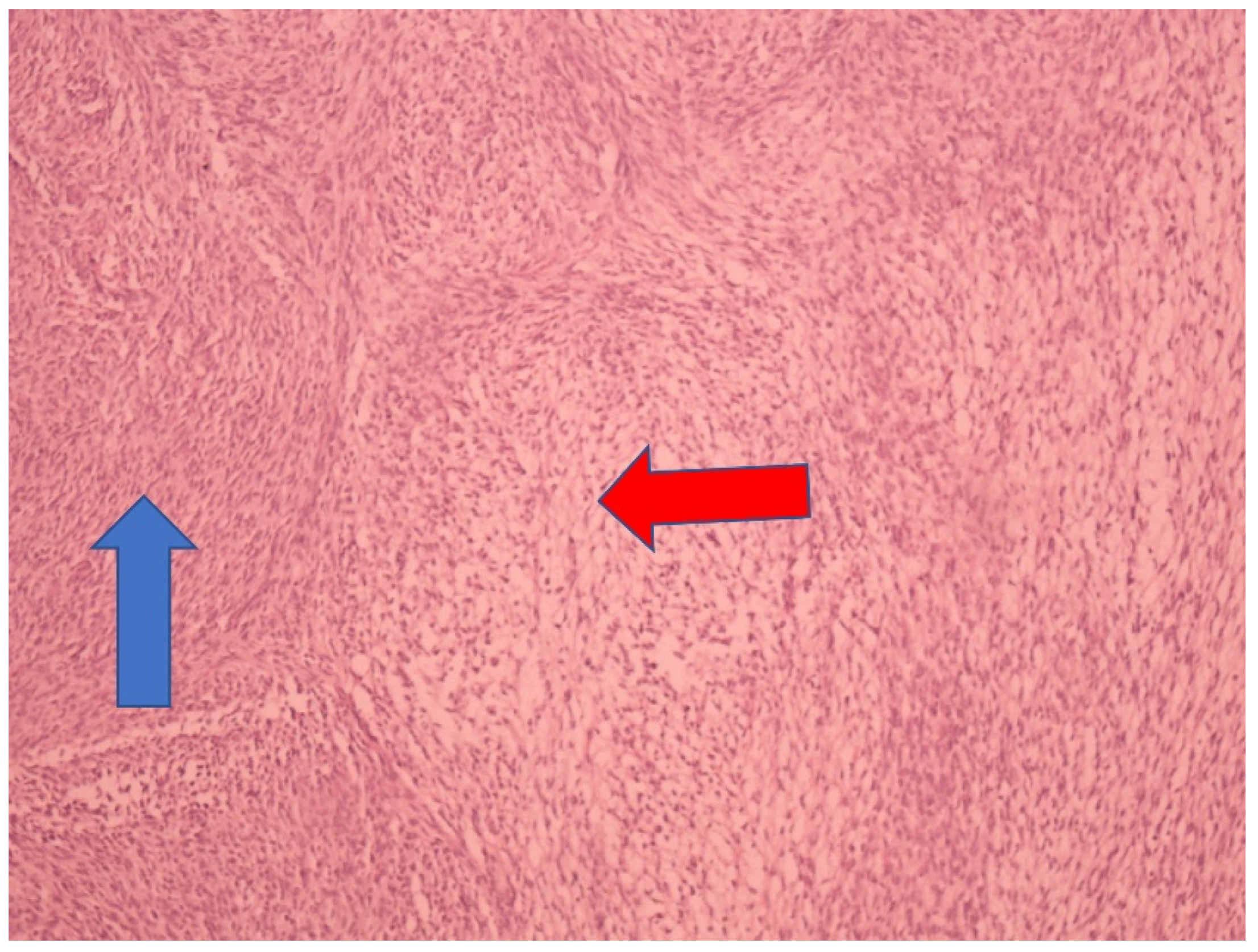 Children 09 00847 g003