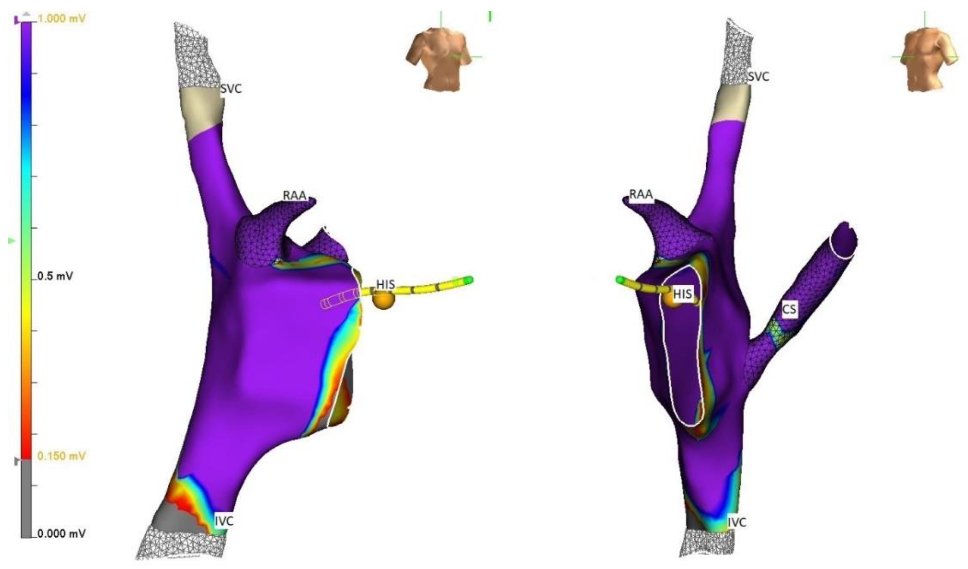 Children 09 00866 g002 Children 09 00866 g002