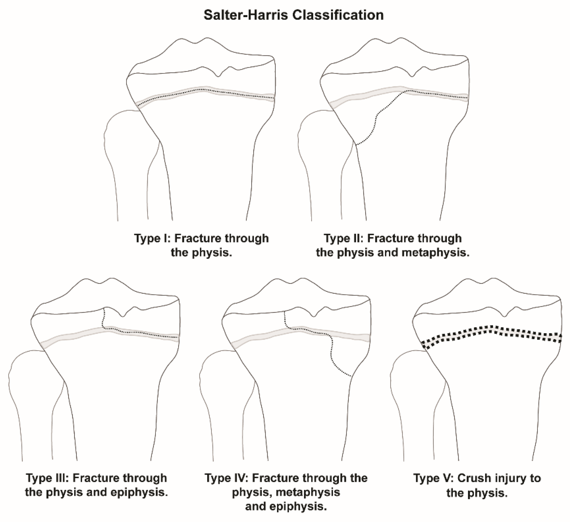 Children 09 00914 g001 550