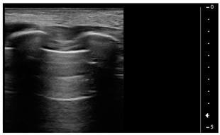 Children 09 00931 i001