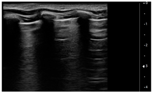 Children 09 00931 i003