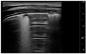 Children 09 00931 i004