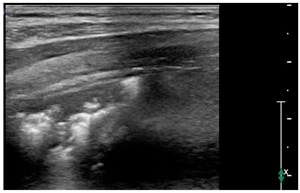 Children 09 00931 i005