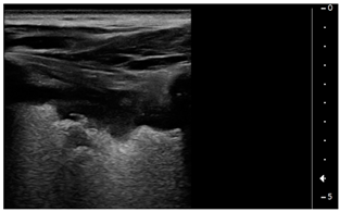 Children 09 00931 i006