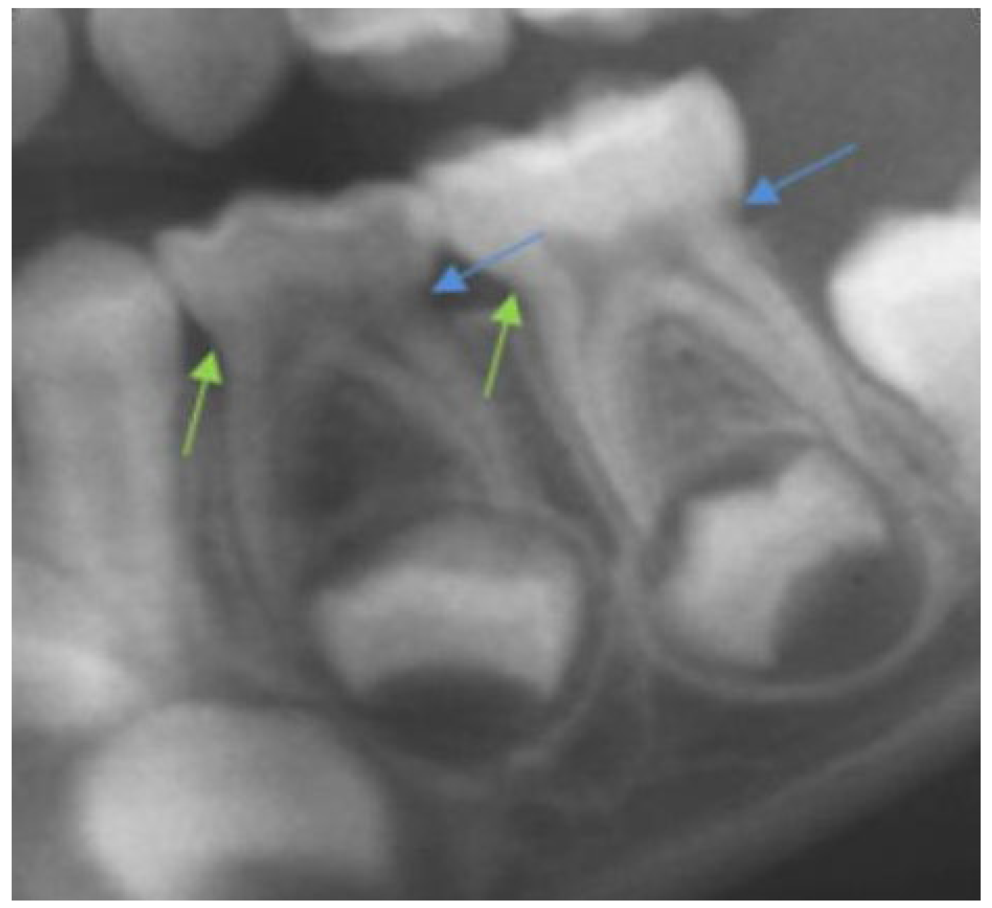 Children 09 00941 g001 550