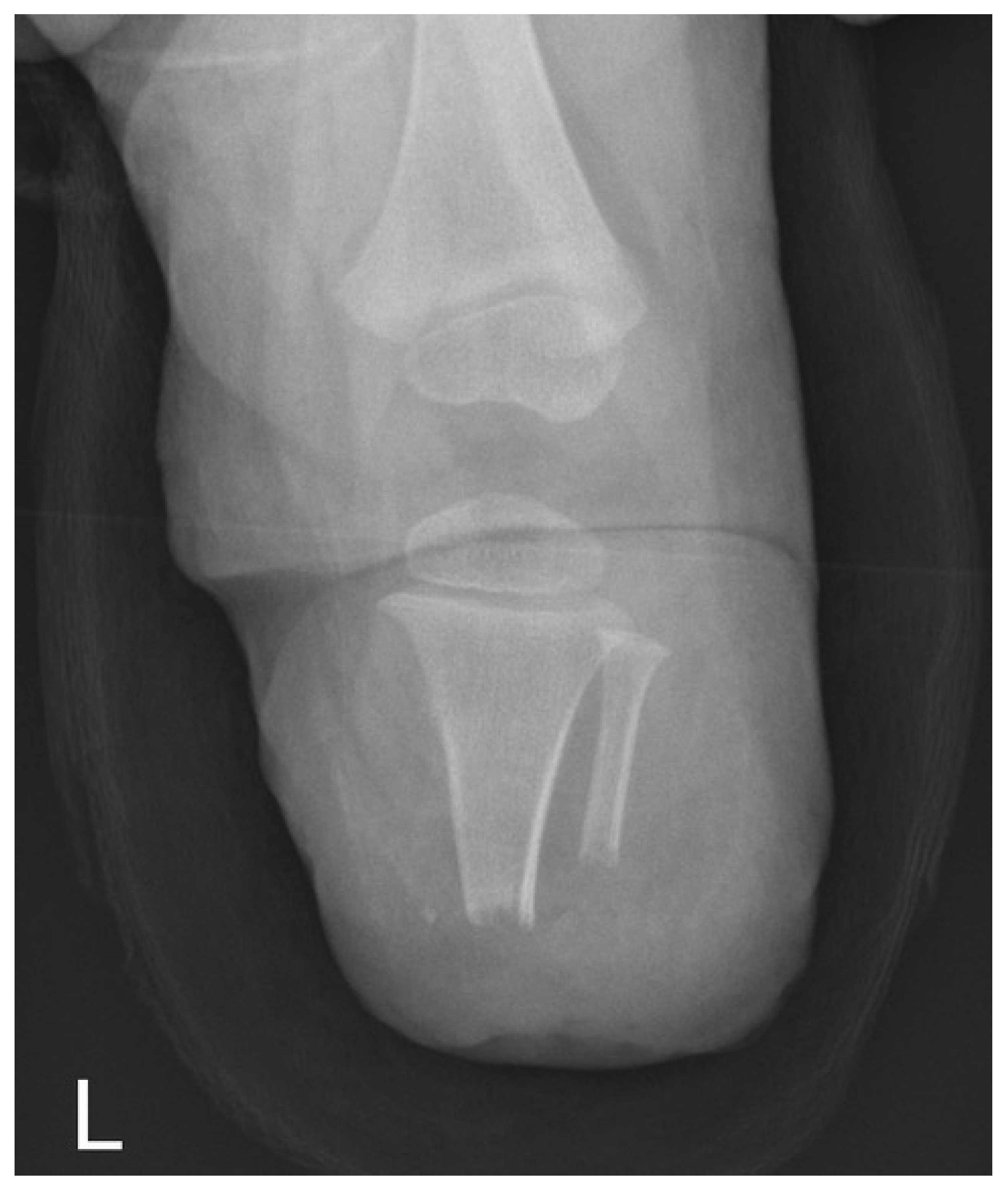 Children 09 01004 g001 Children 09 01004 g001