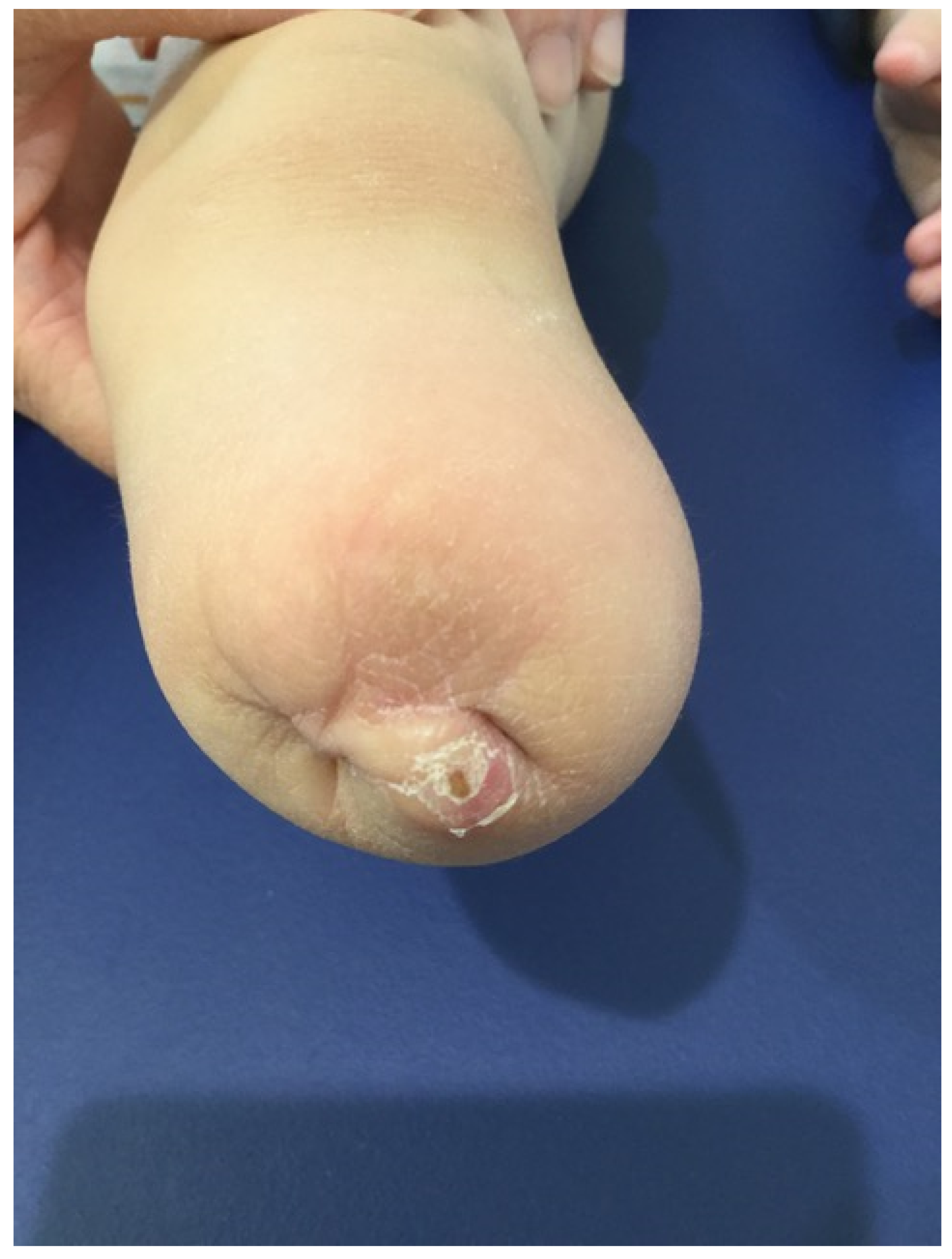 Children 09 01004 g004 Children 09 01004 g004