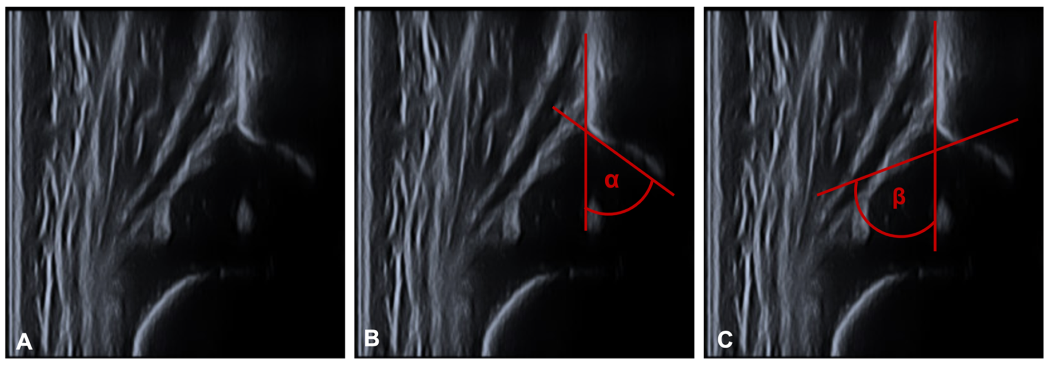 Children 09 01010 g003 550