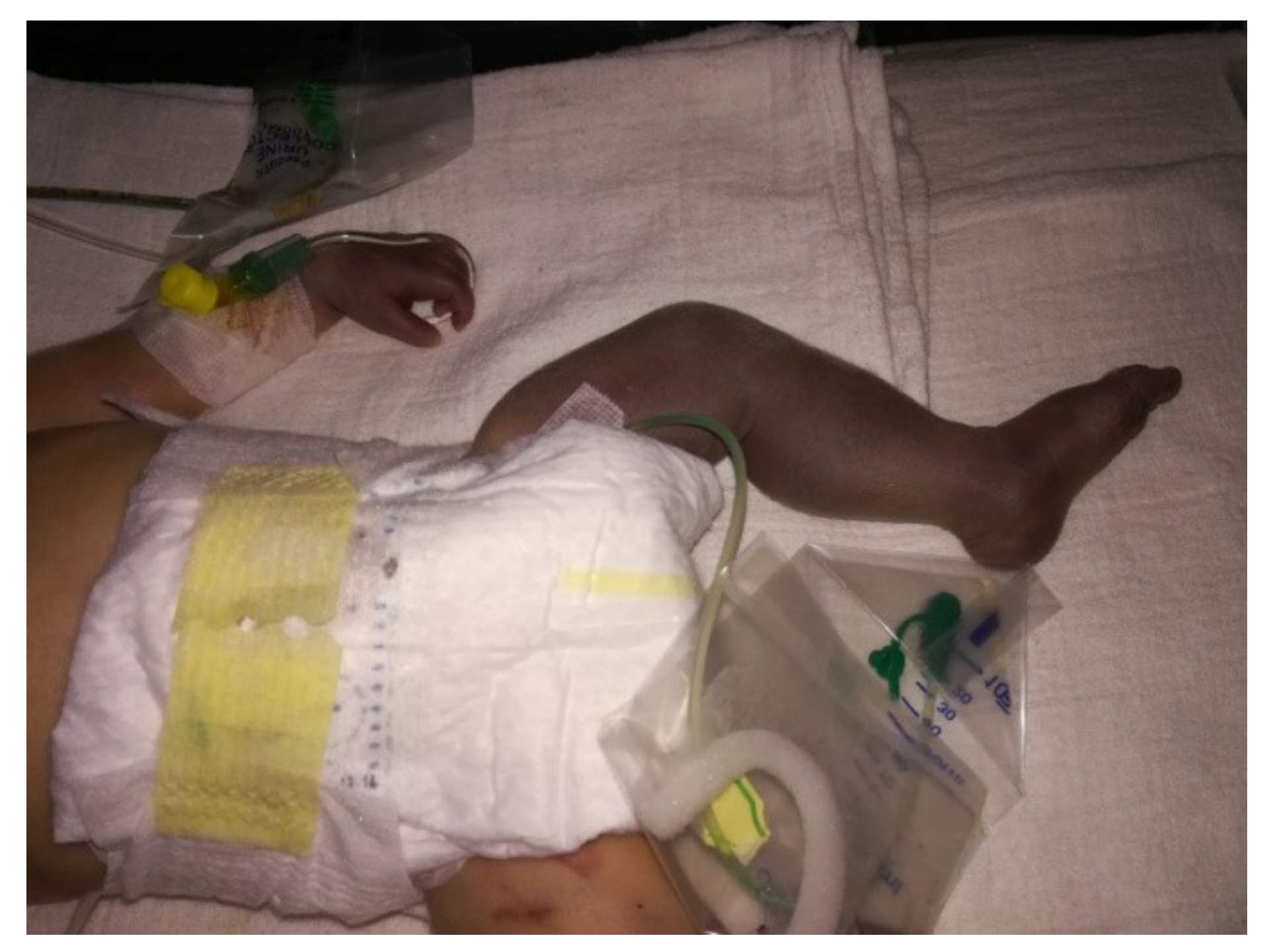 Children 09 01020 g002