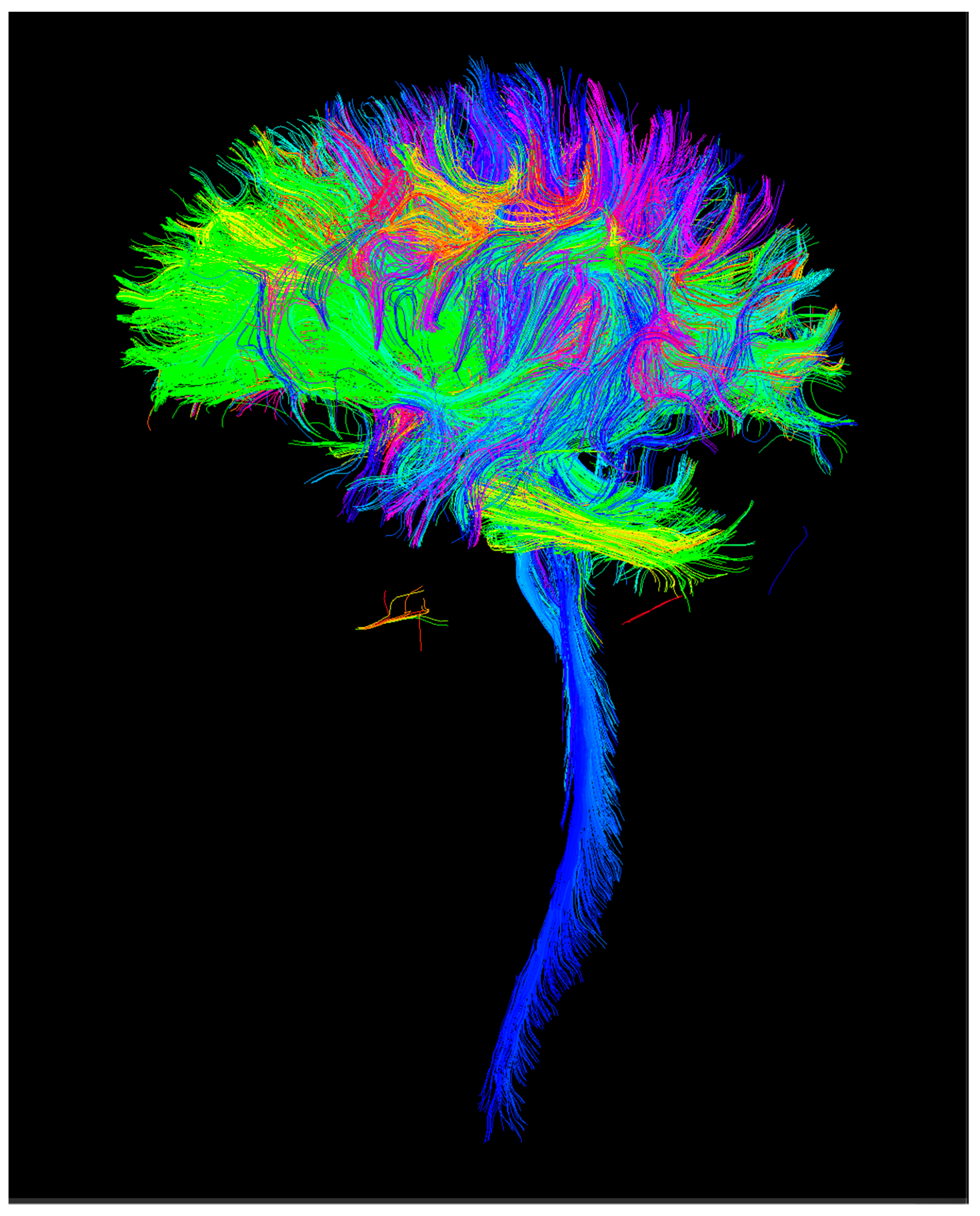 Children 09 01023 g004 Children 09 01023 g004