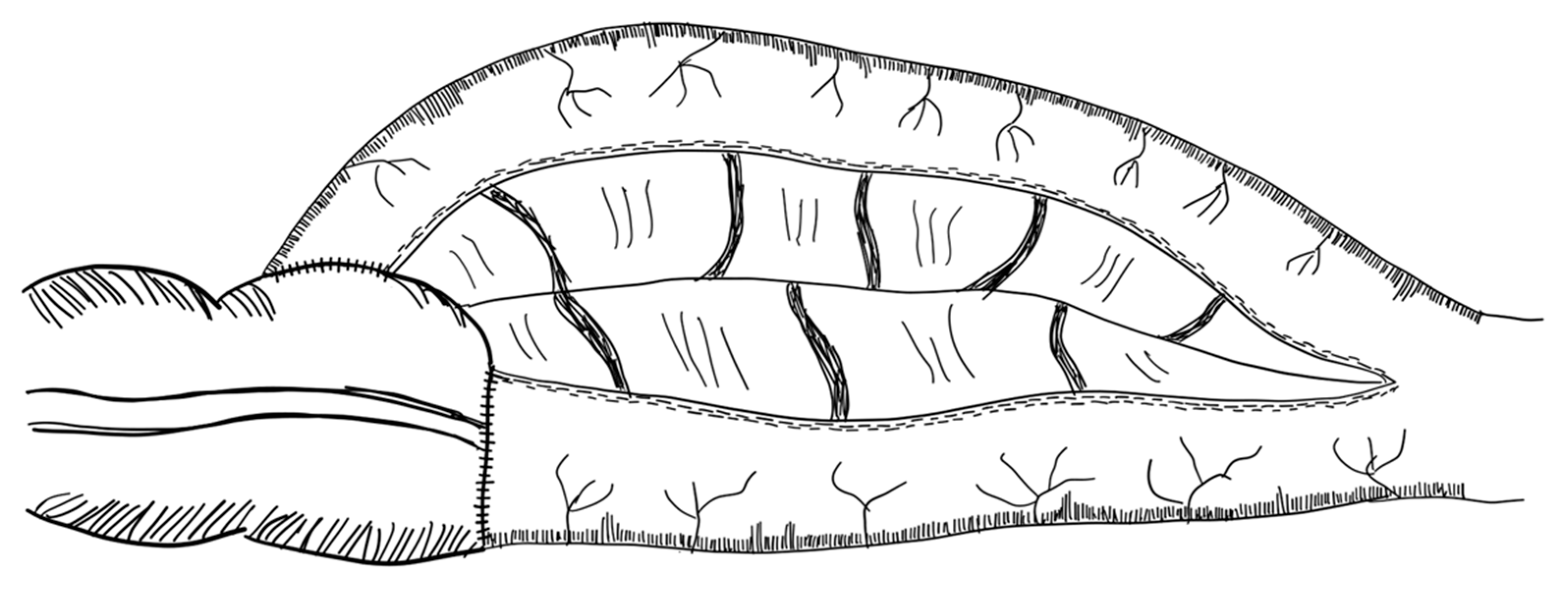 Children 09 01024 g005