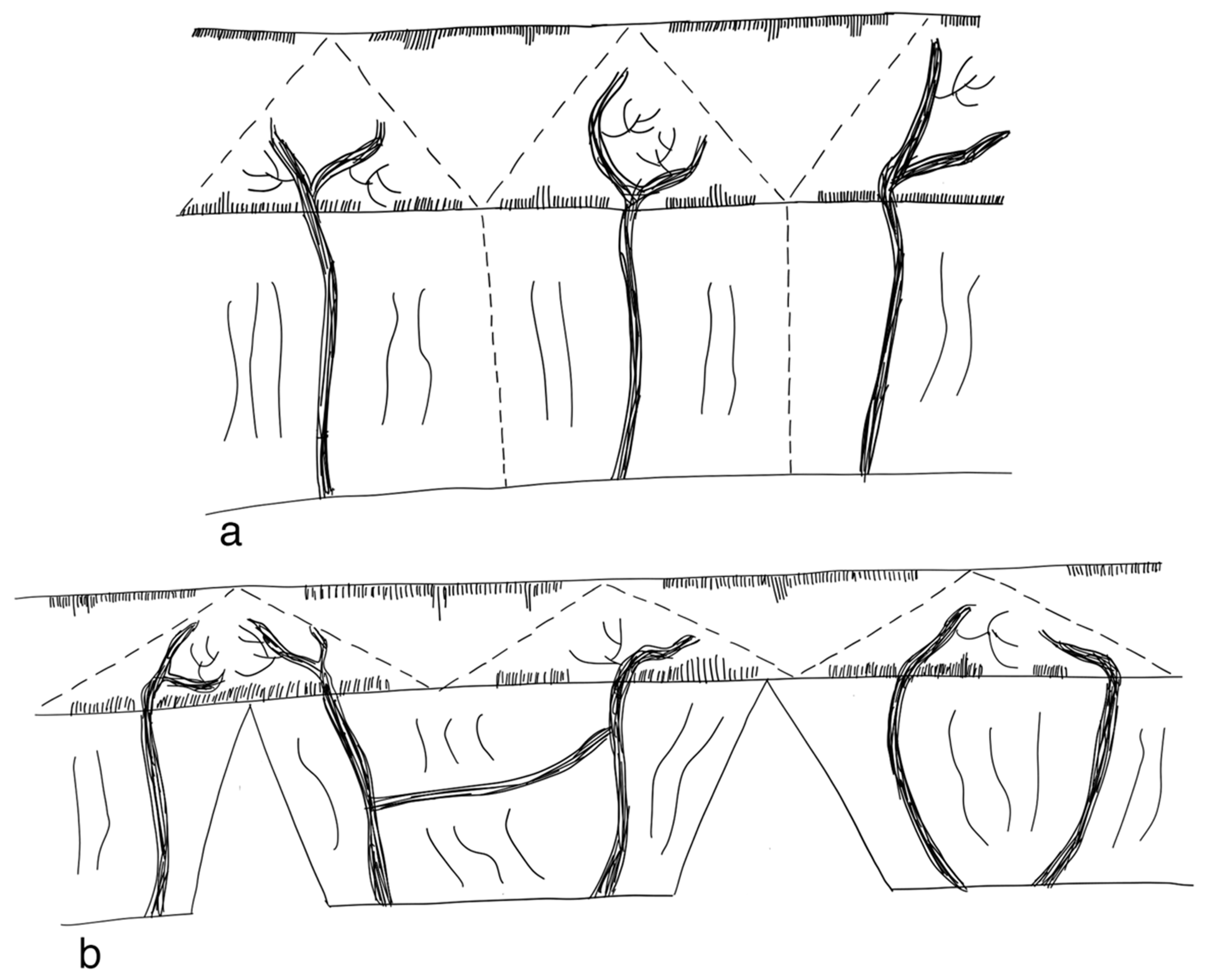 Children 09 01024 g007