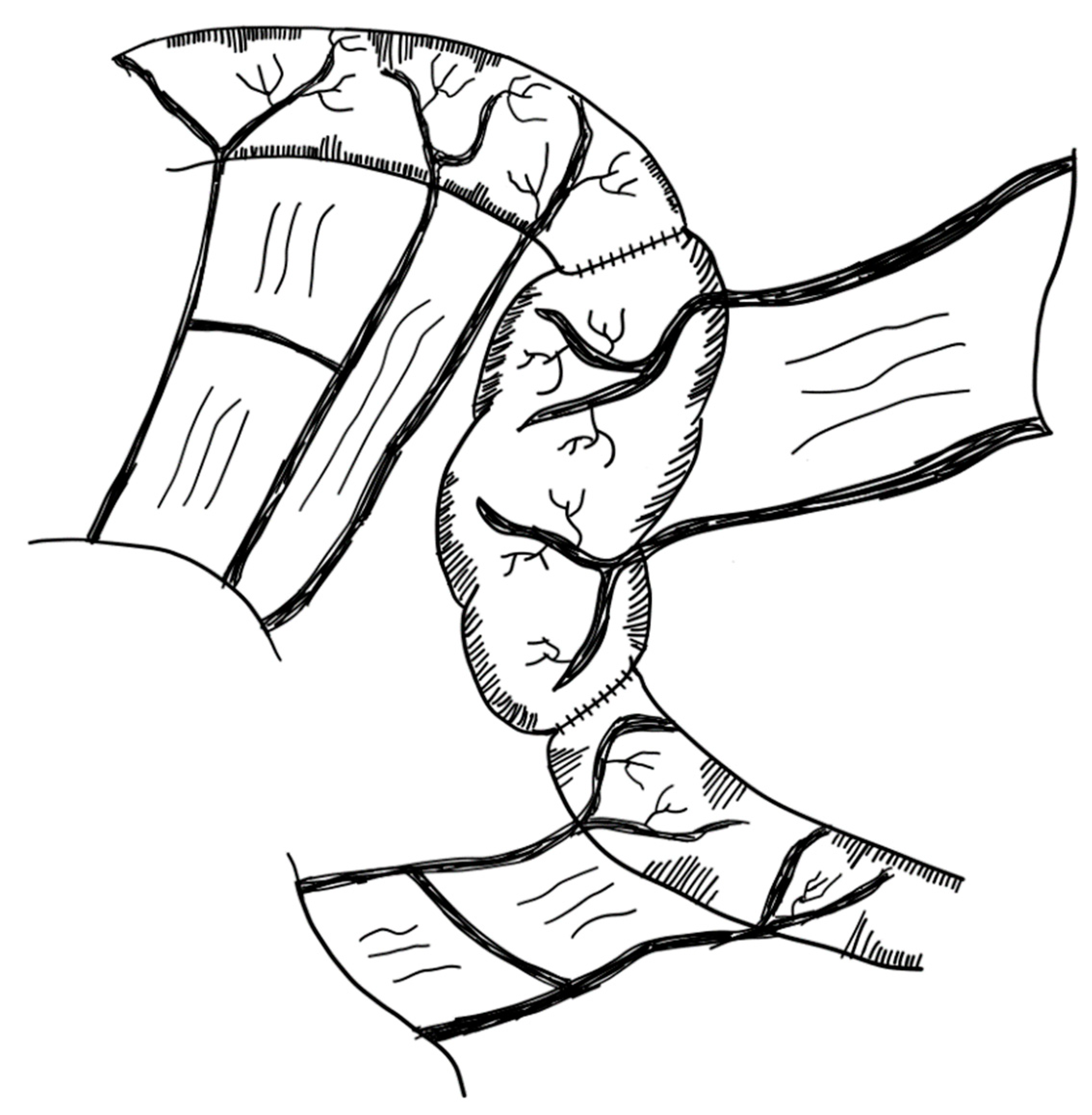 Children 09 01024 g012