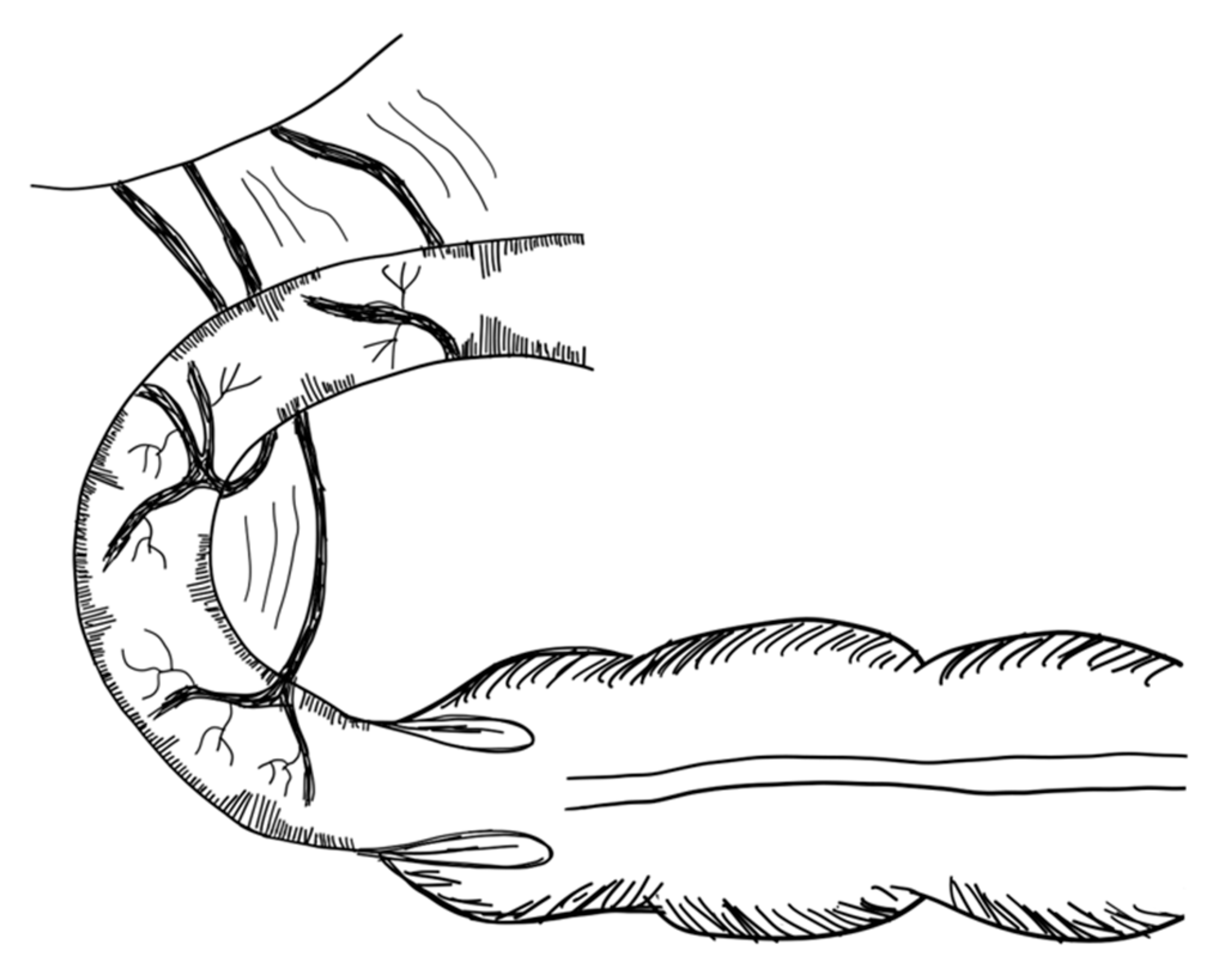 Children 09 01024 g013