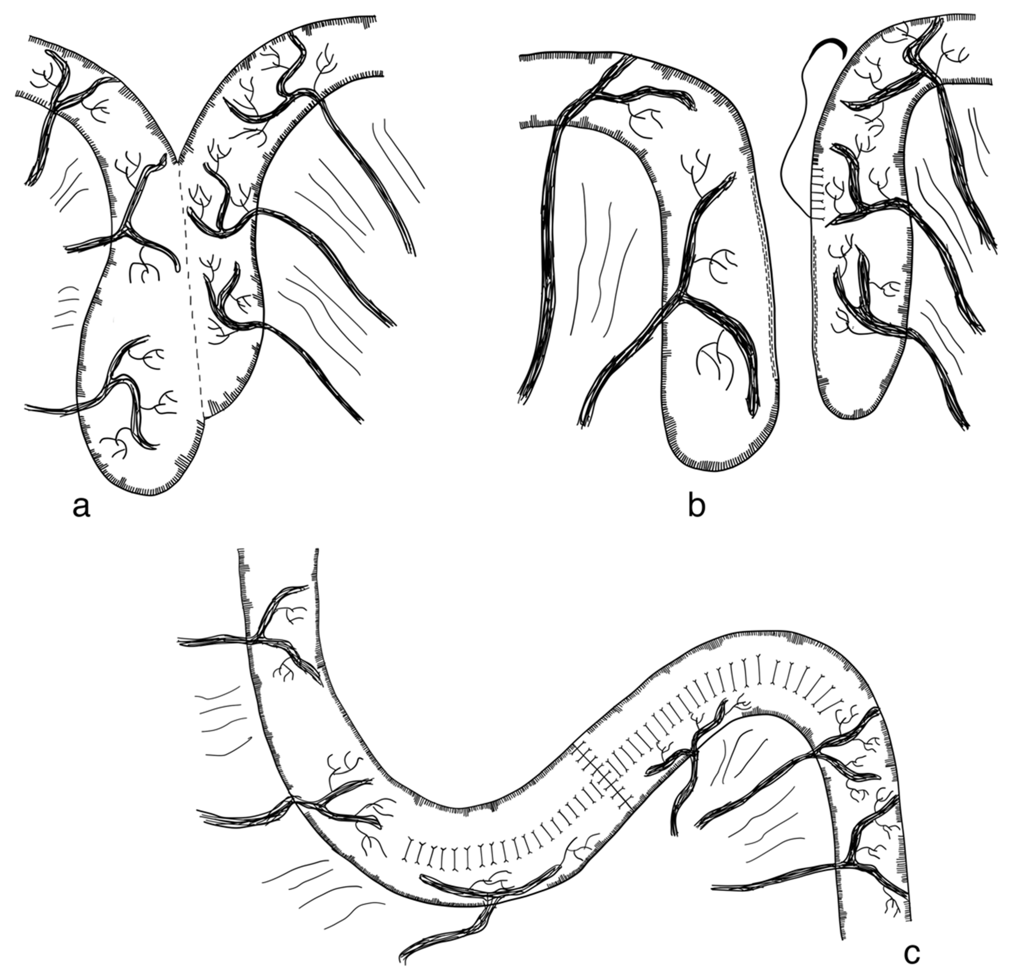 Children 09 01024 g016