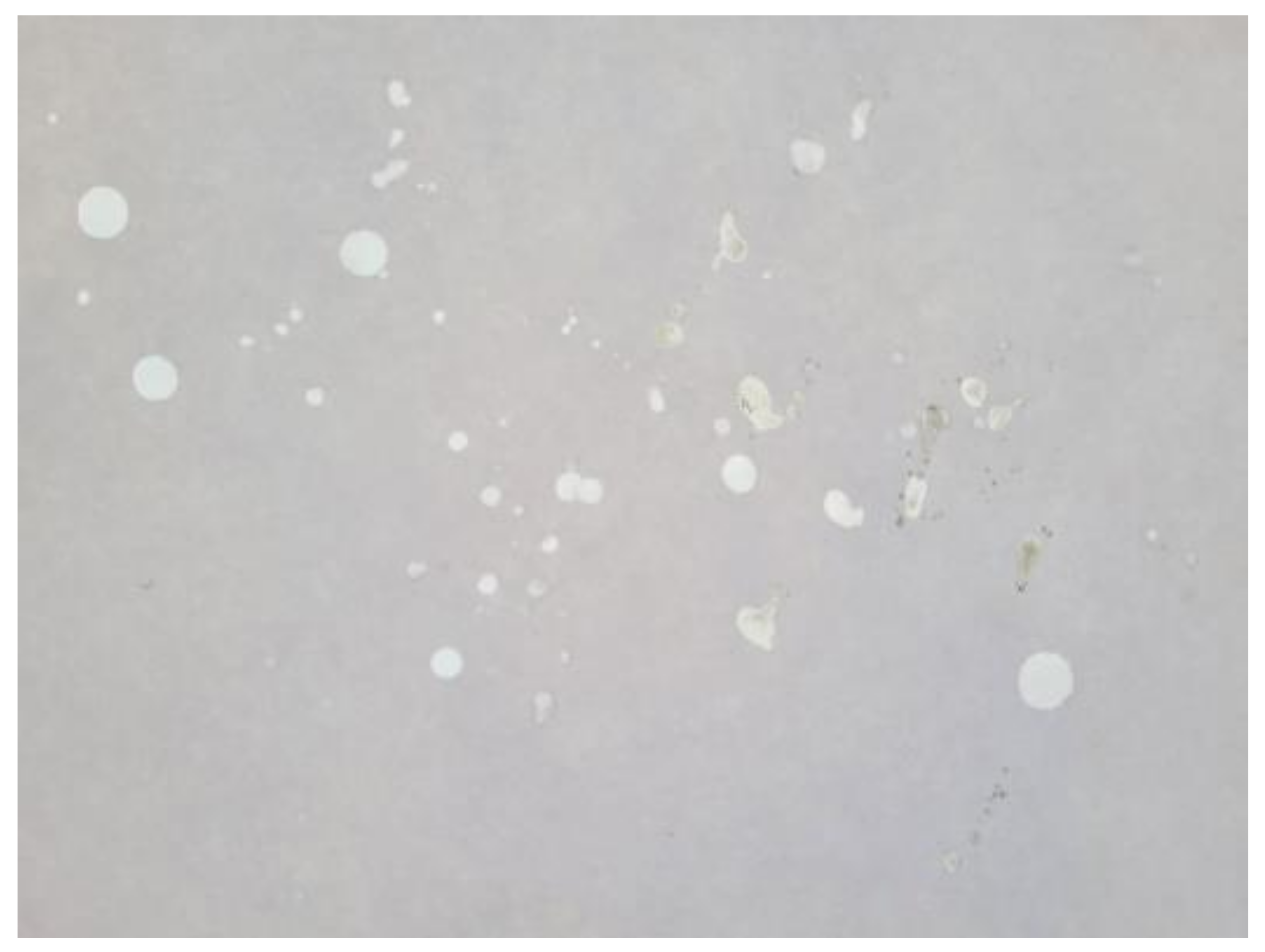 Children 09 01029 g001